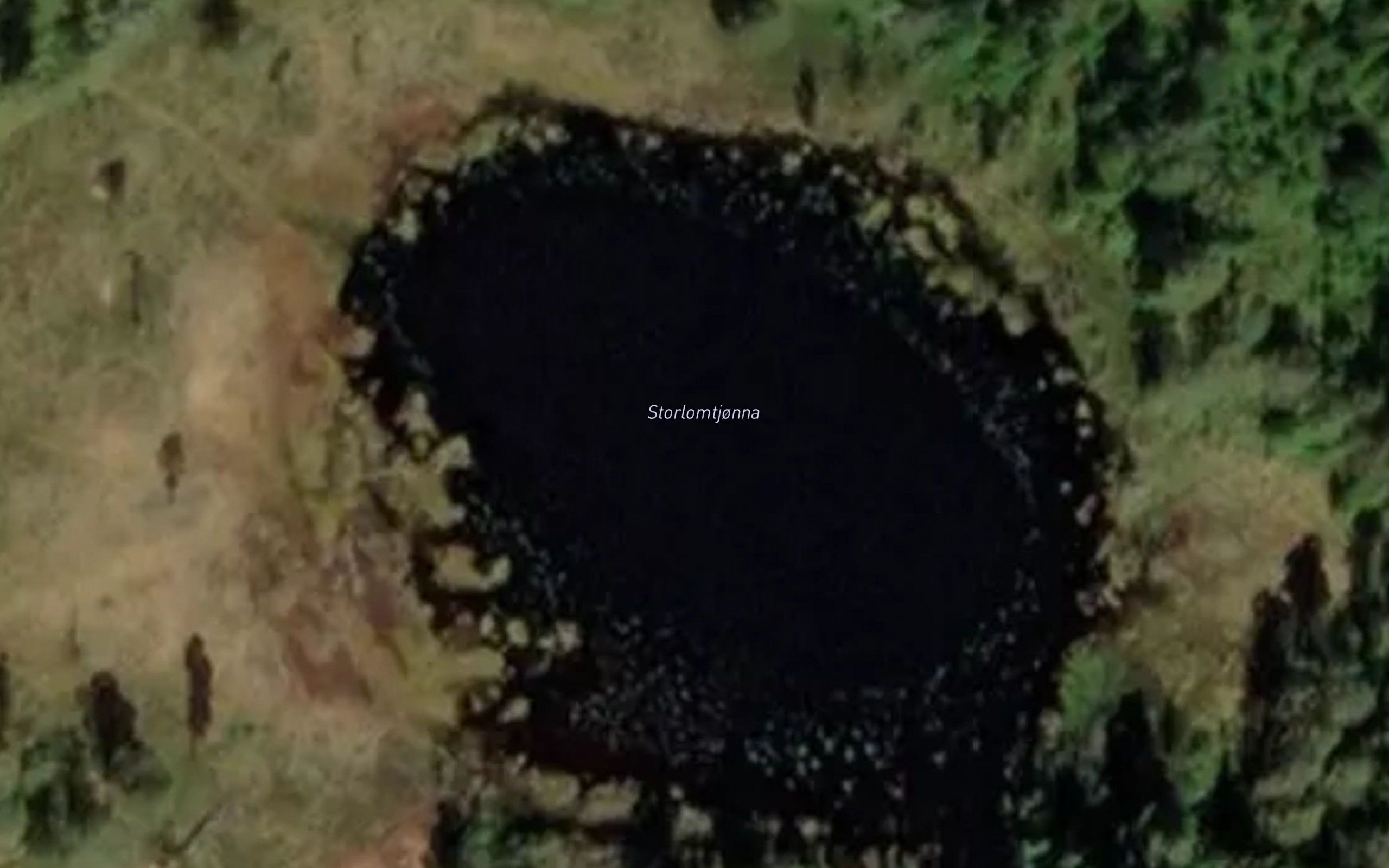 Storlomtjorna