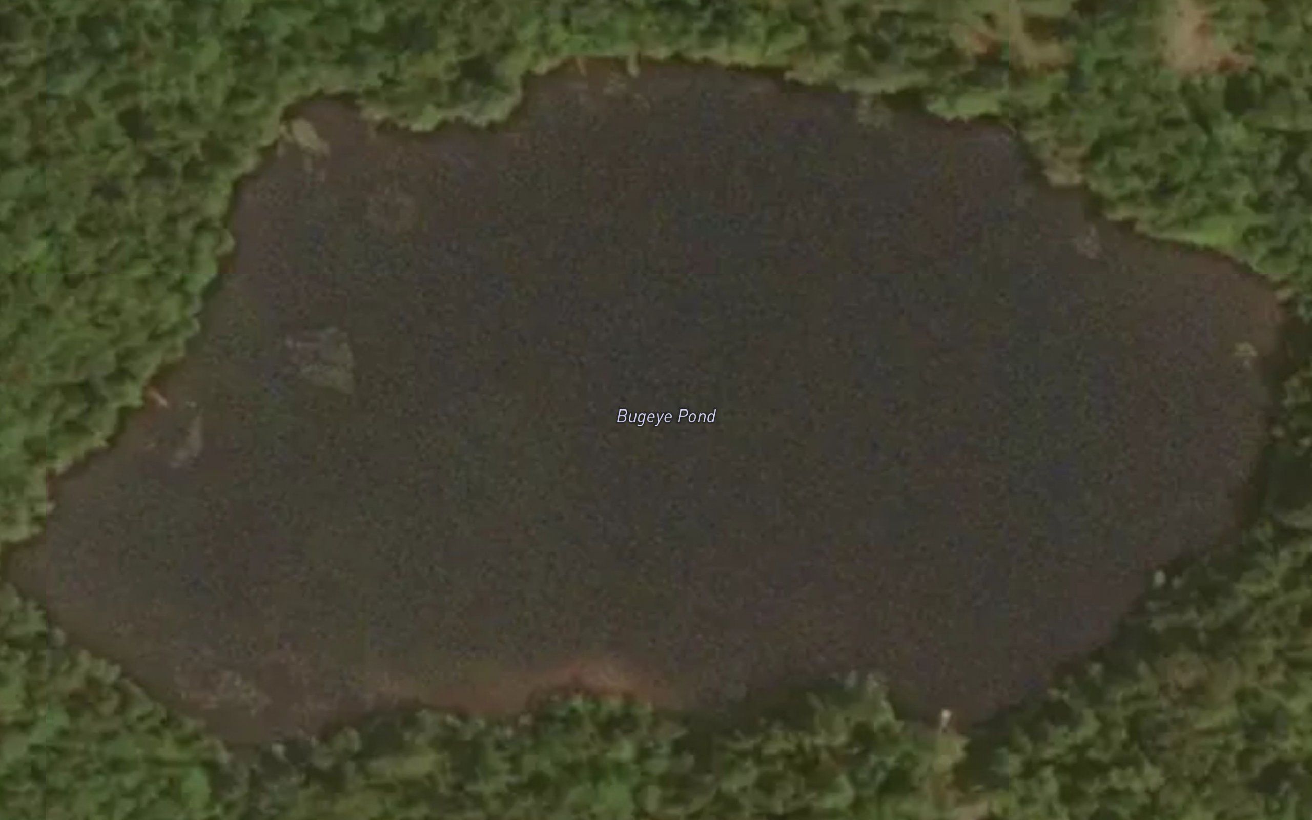 Bugeye Pond
