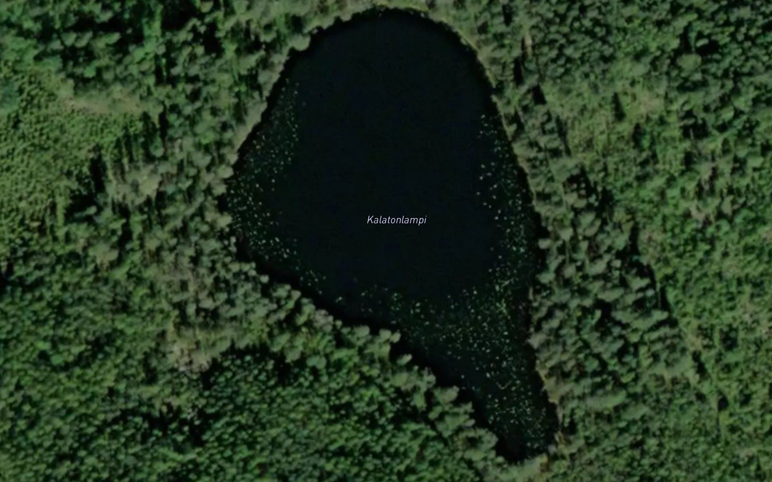 Kalatonlampi