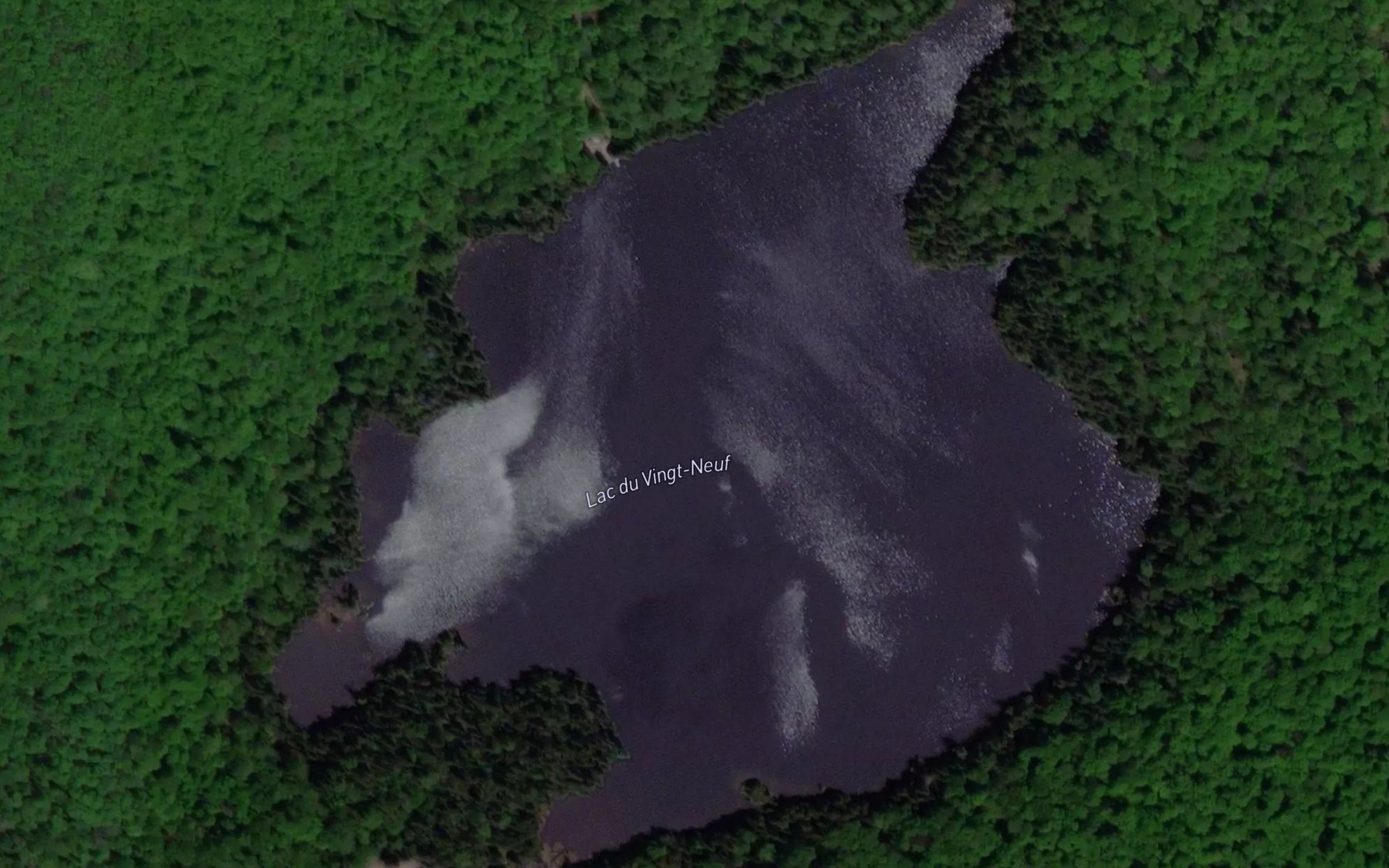 Satellite map of the Lac du Vingt-Neuf