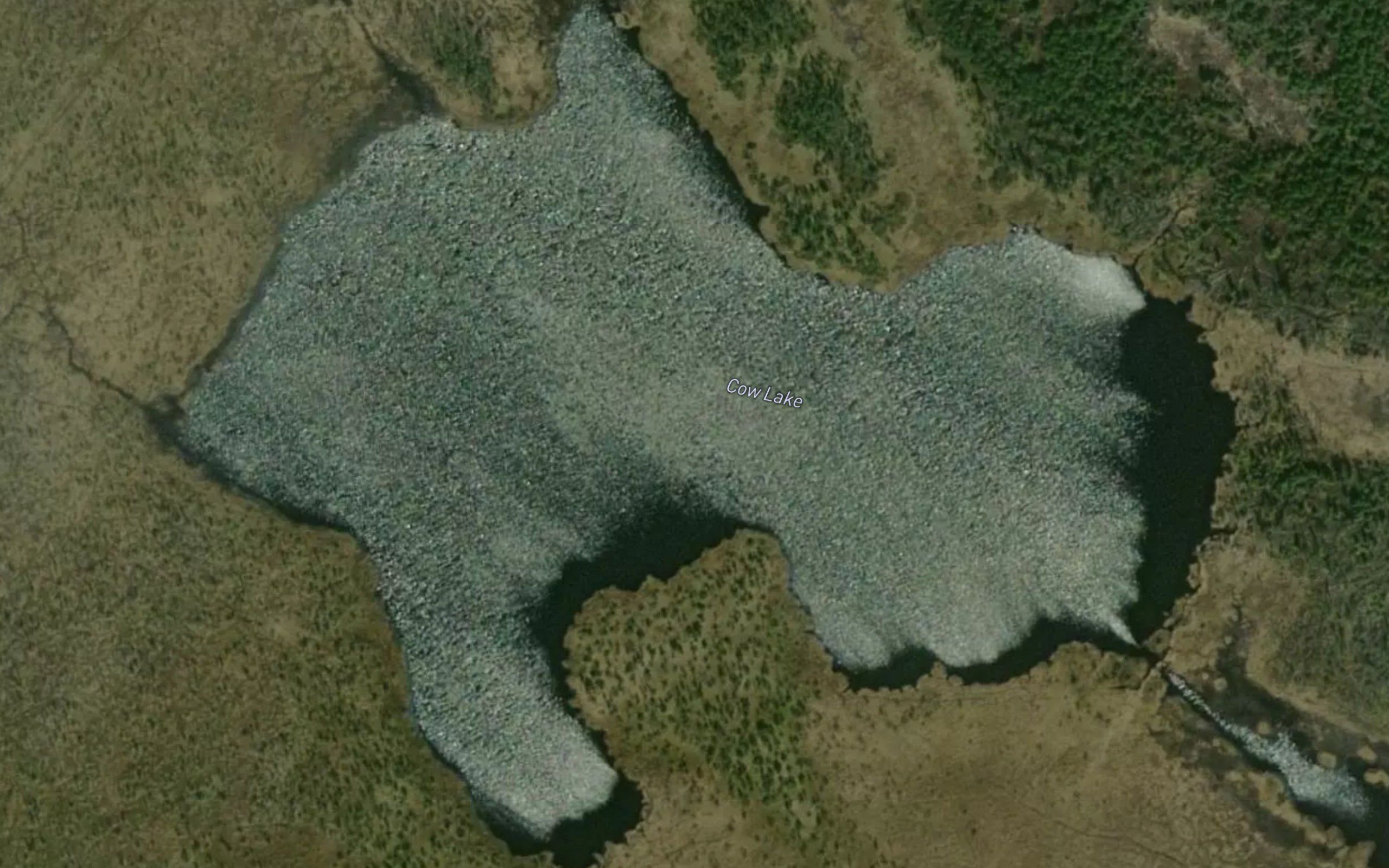 Cow Lake