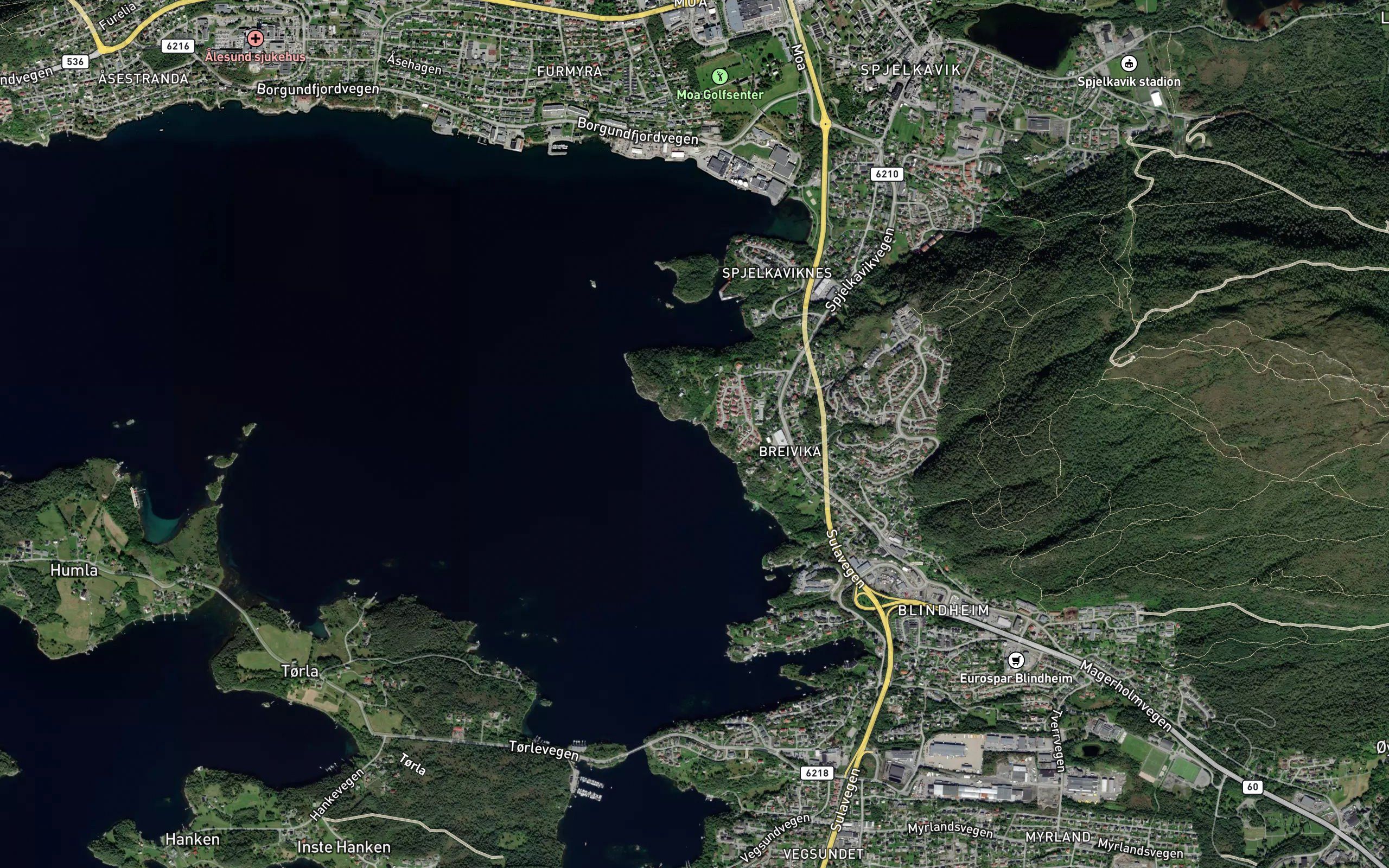 Remvika