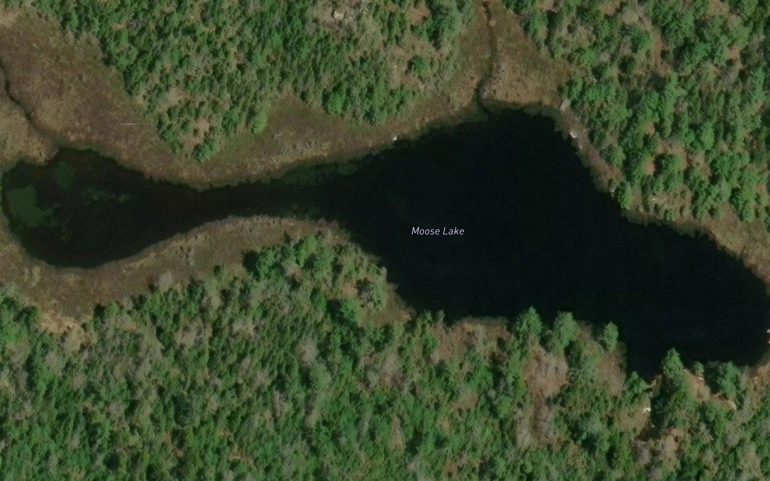 Moose Lake