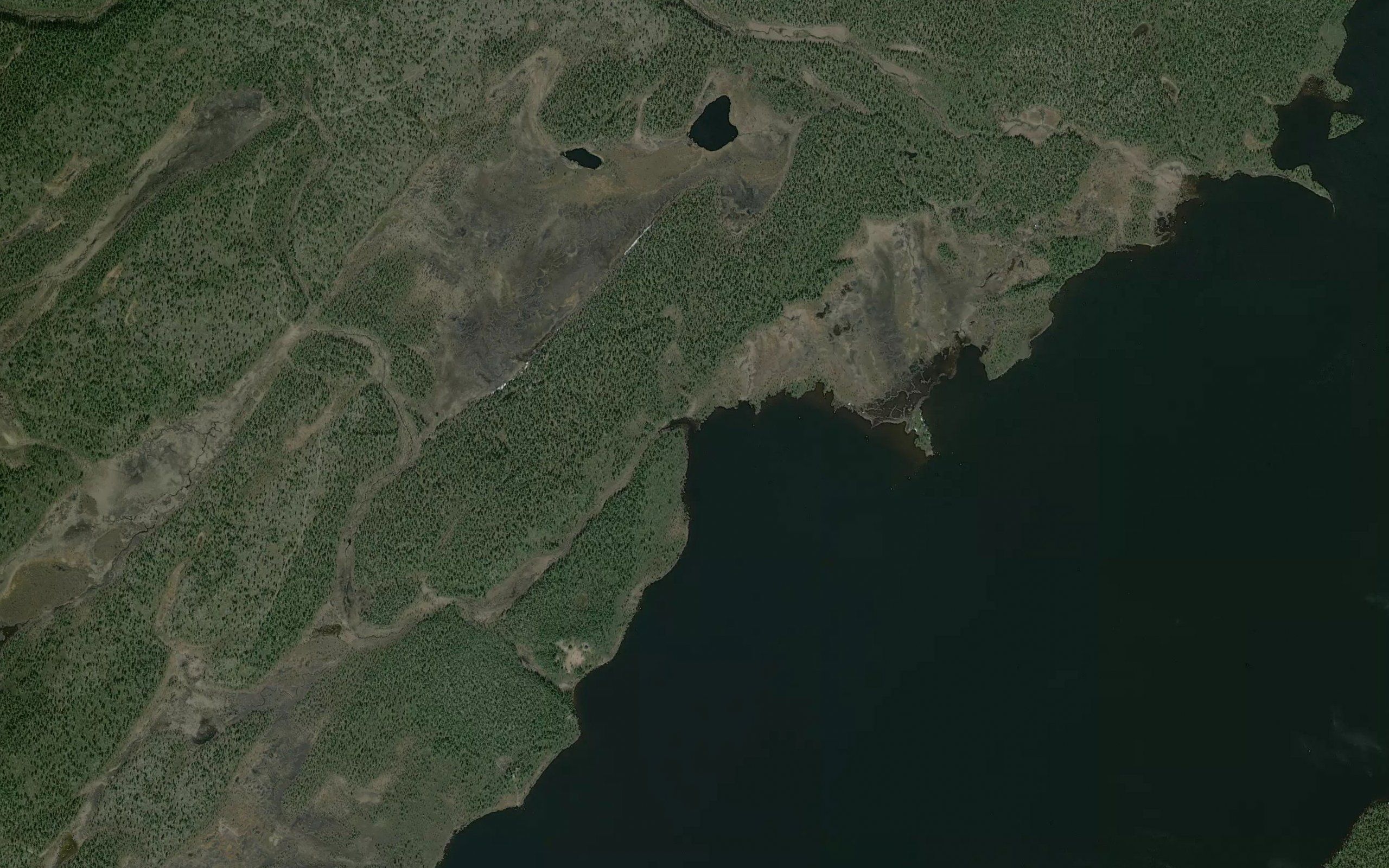 Sairo-oja