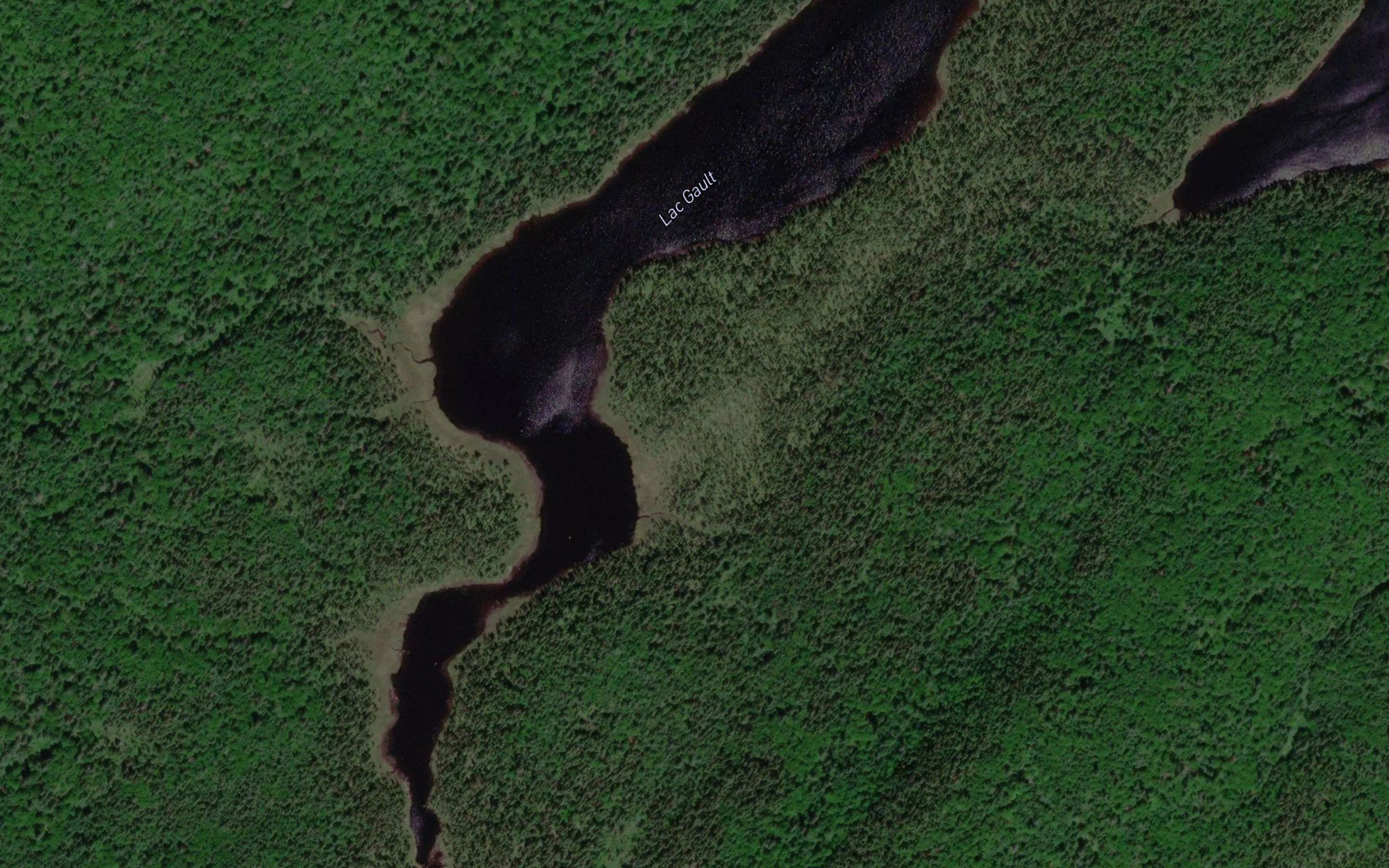 Lac Gault