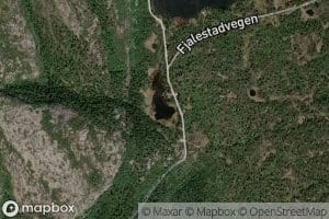 Ortjorn