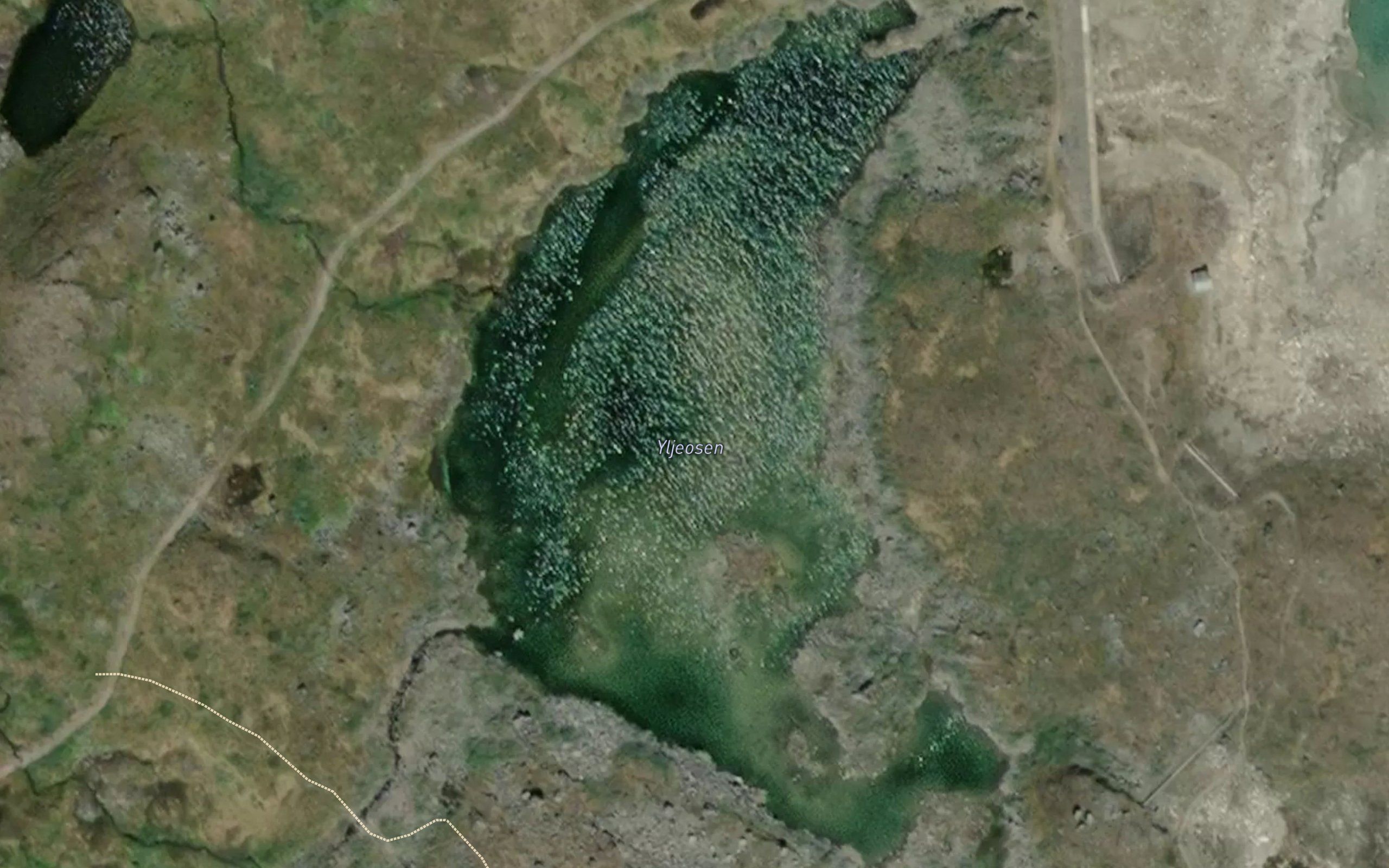 Yljeosen