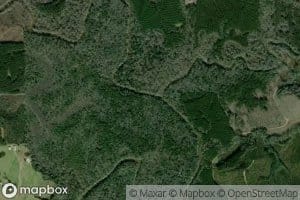Pigeon Creek