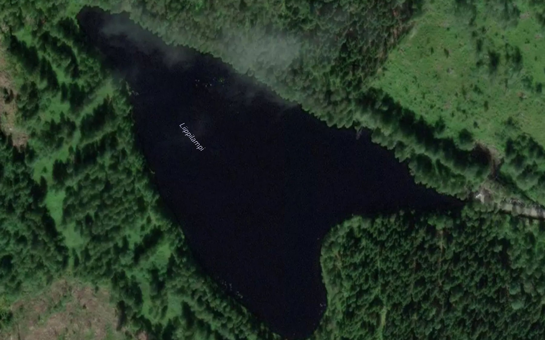 Satellite map of the Liippilampi