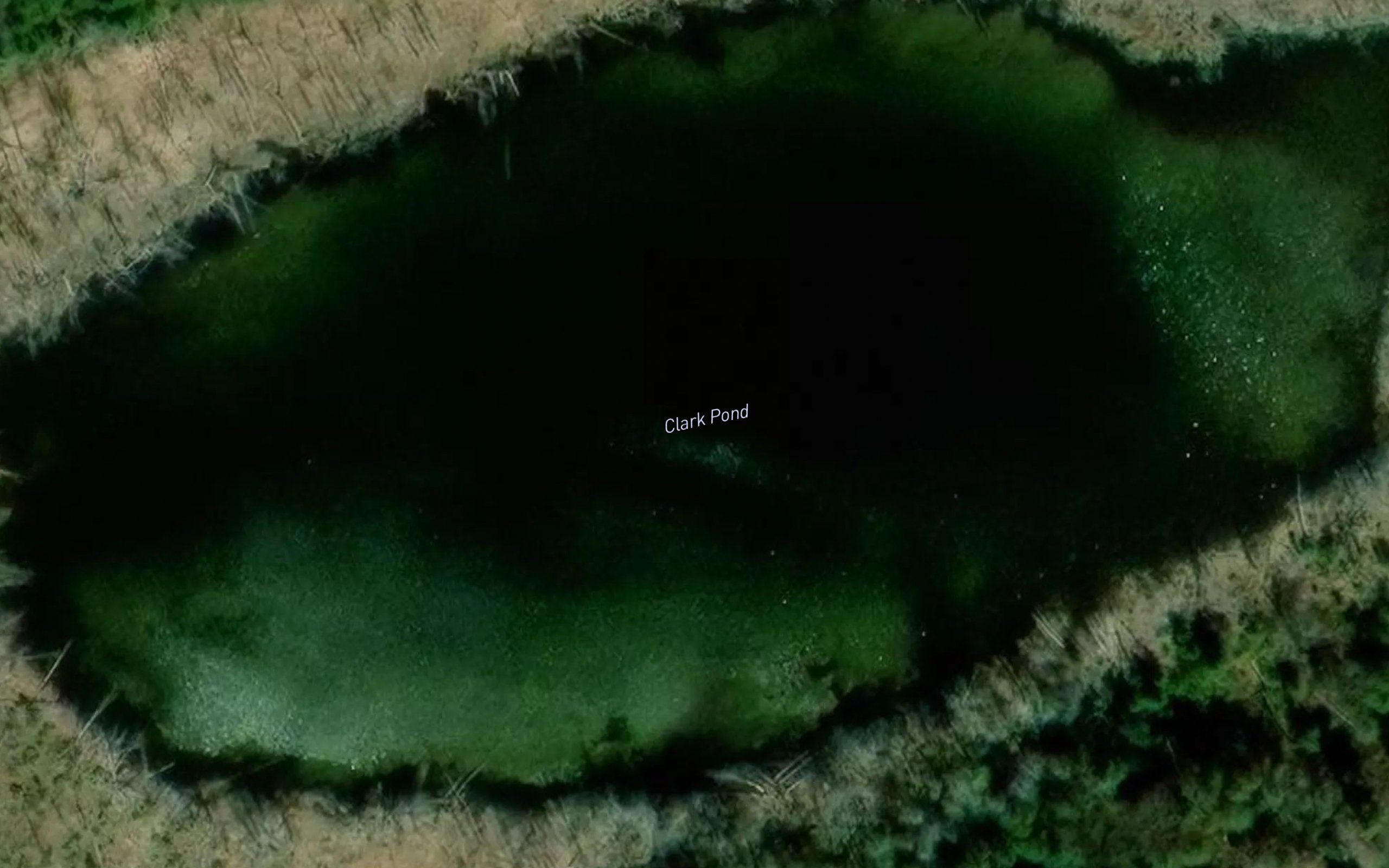 Clark Pond