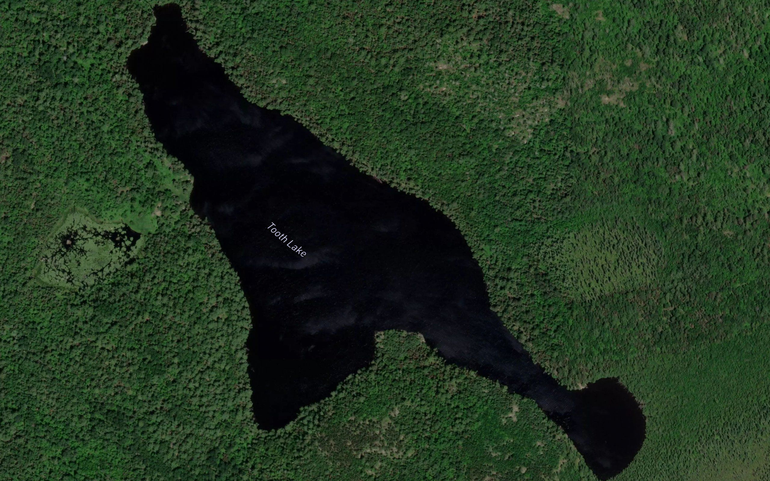 Tooth Lake