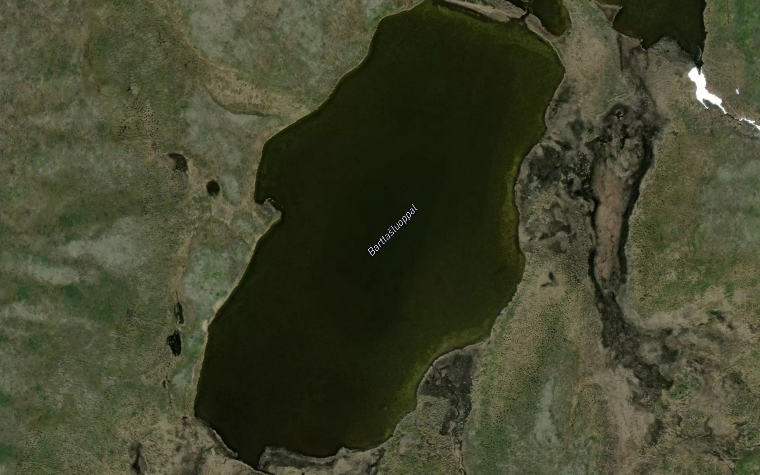 Bartasluobbal