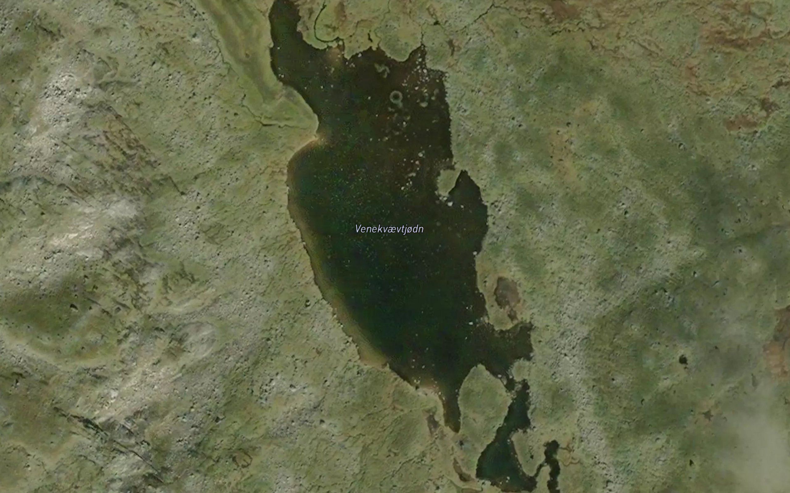 Venekvaevtjodn