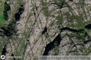 Lambtjorna