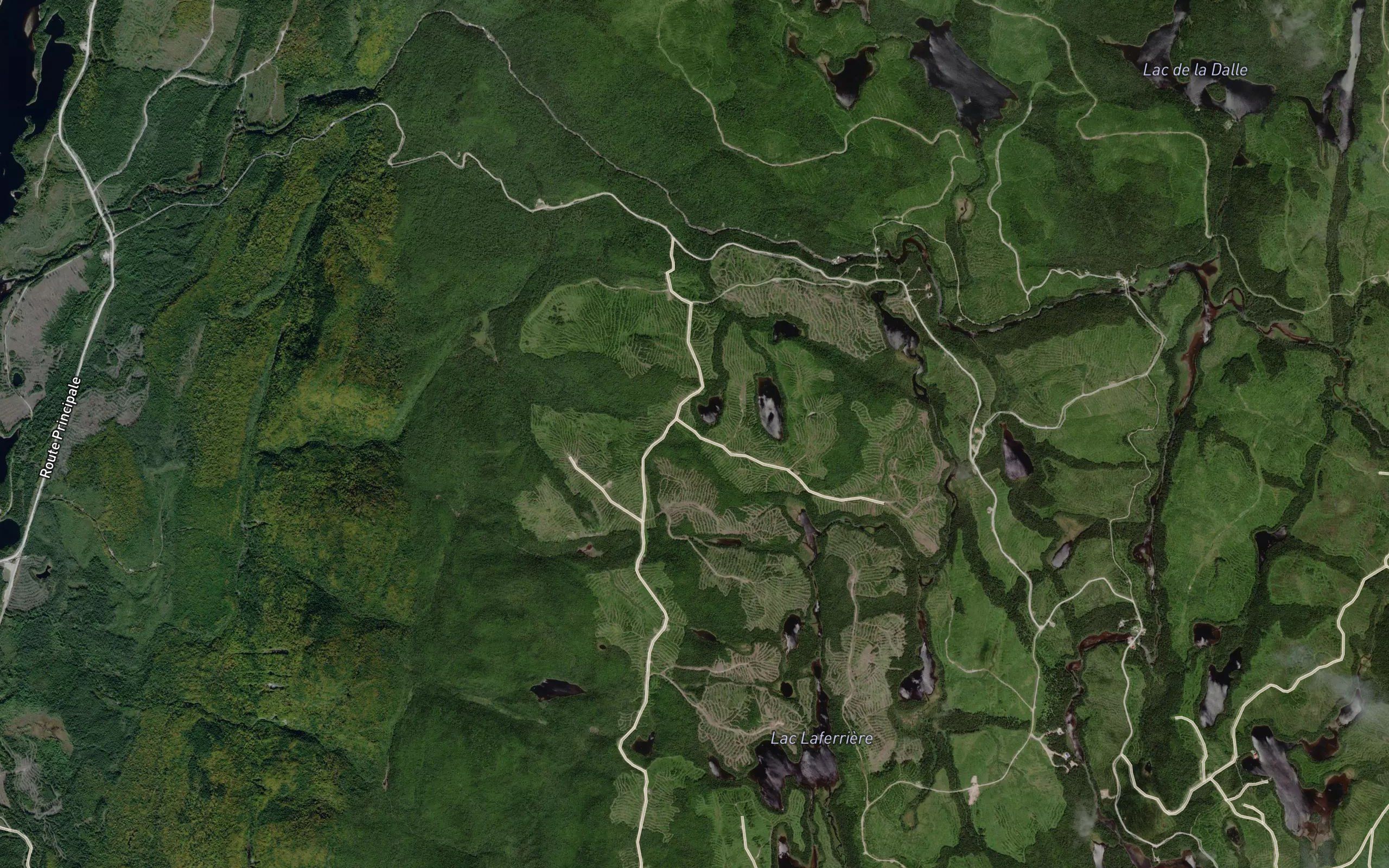 Lac du Colvert