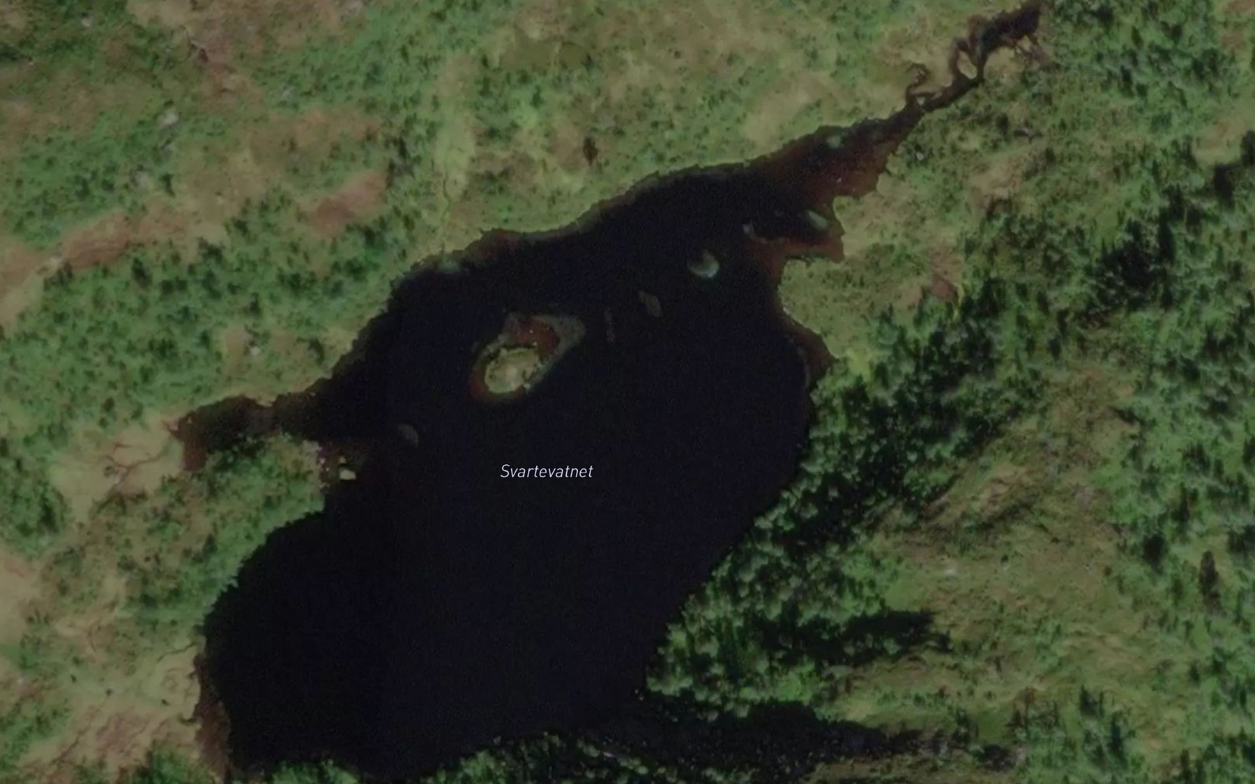 Satellite map of the Svartevatnet