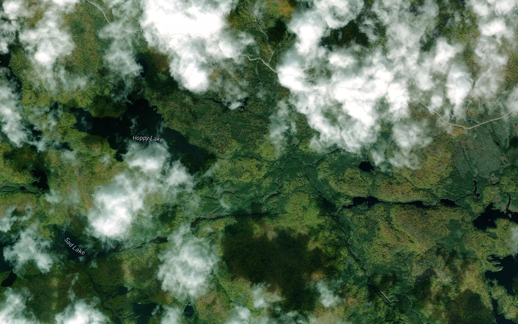 Satellite map of the Hoppy Creek
