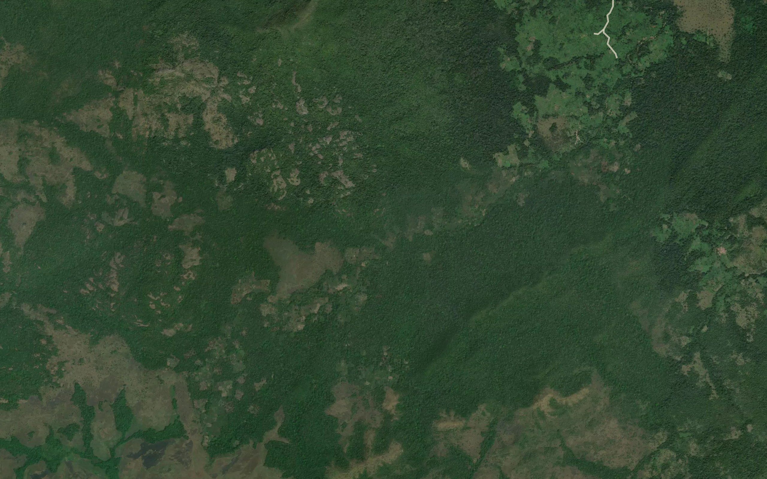Ulima