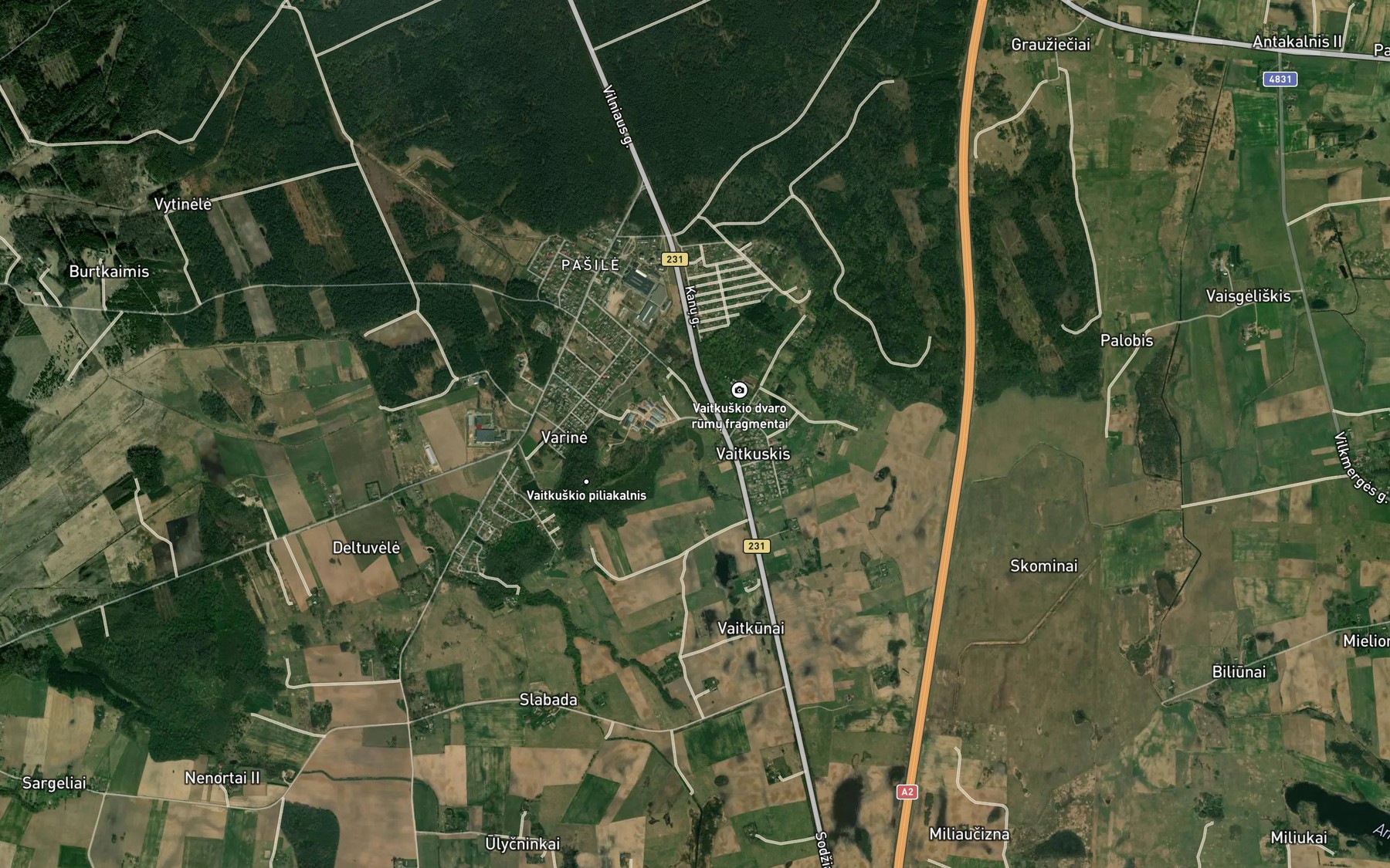 Satellite map of the Lapekalnio Tvenkinys