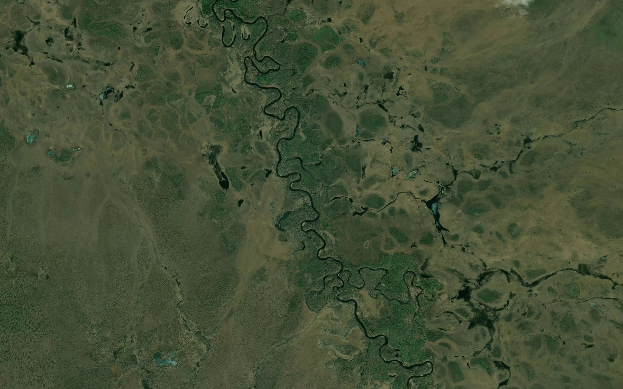 Mokhovoy