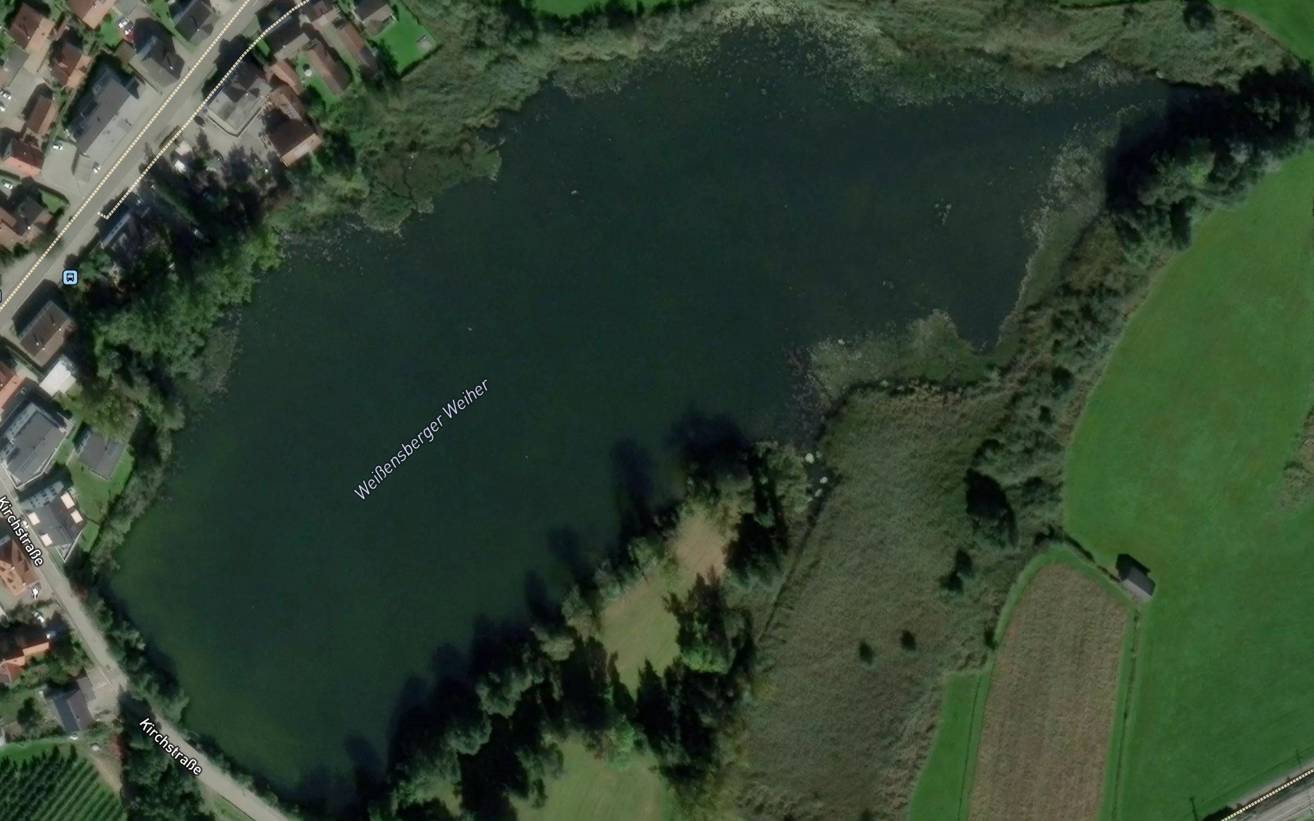 Weissenberger Weiher