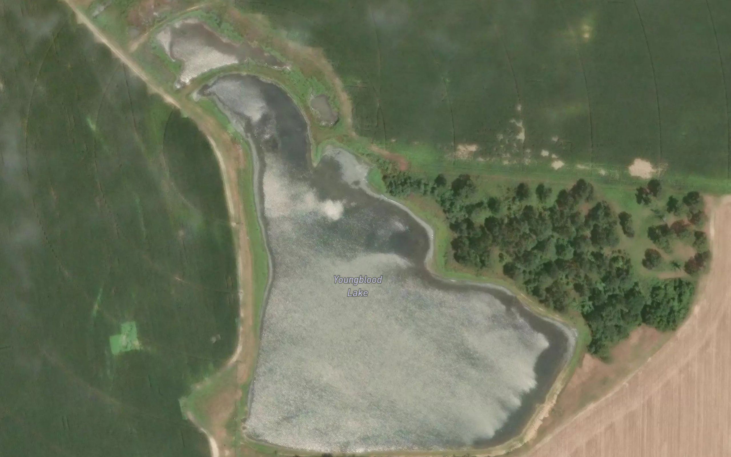 Youngblood Lake