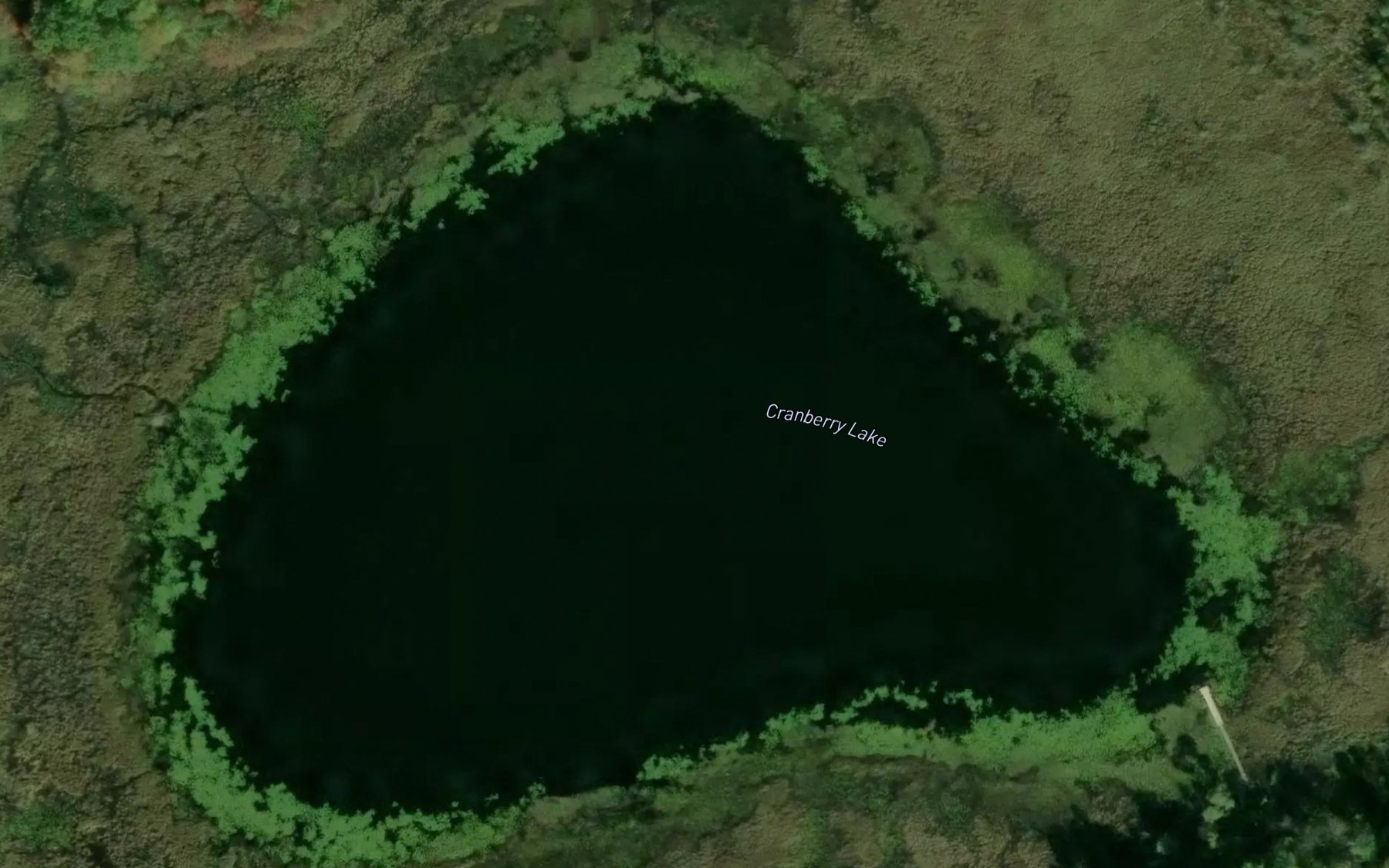 Satellite map of the Cranberry Lake