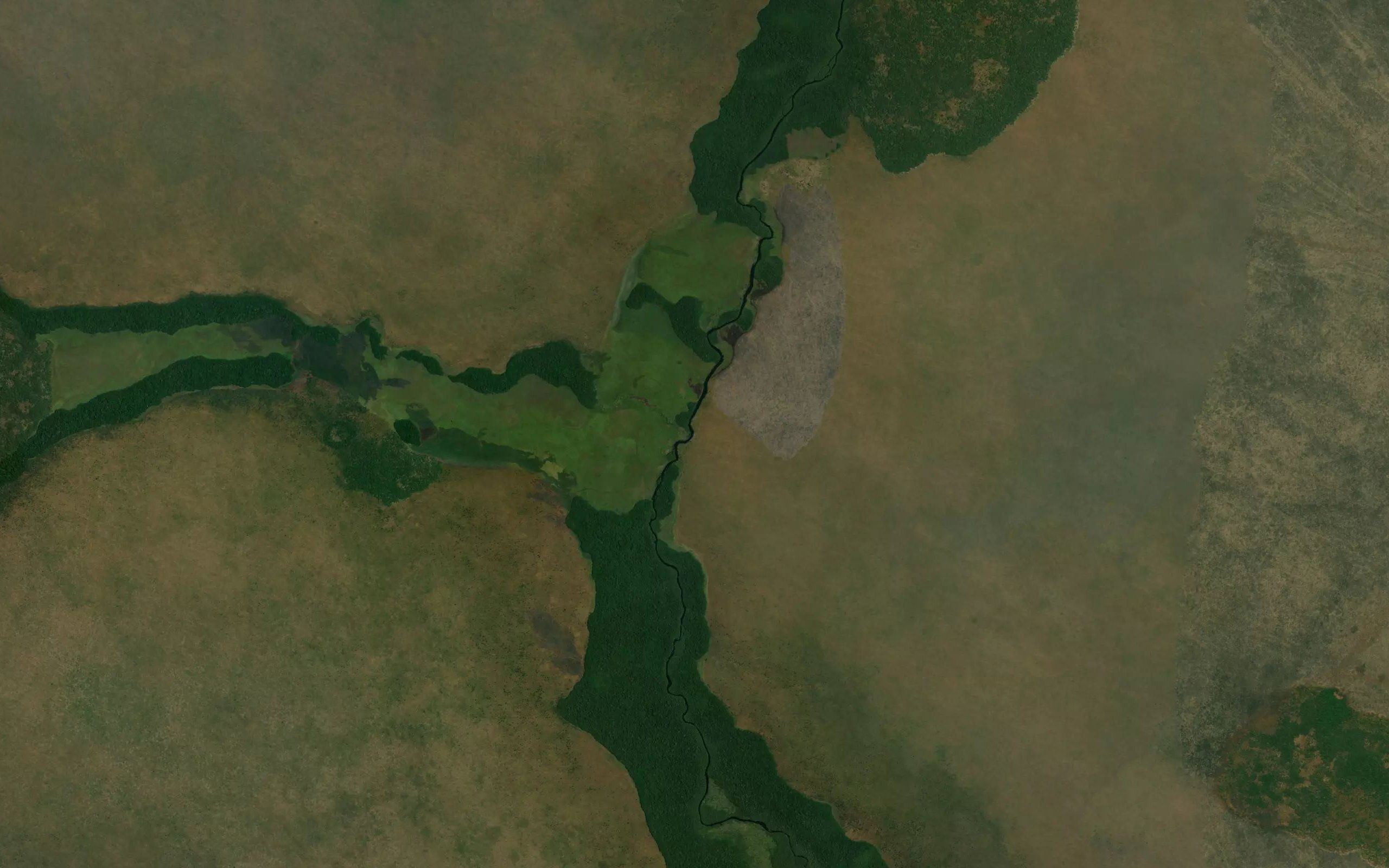 Luo