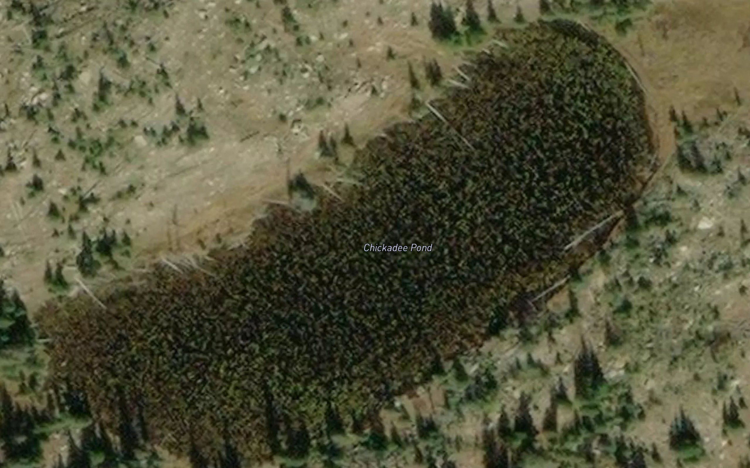 Chickadee Pond
