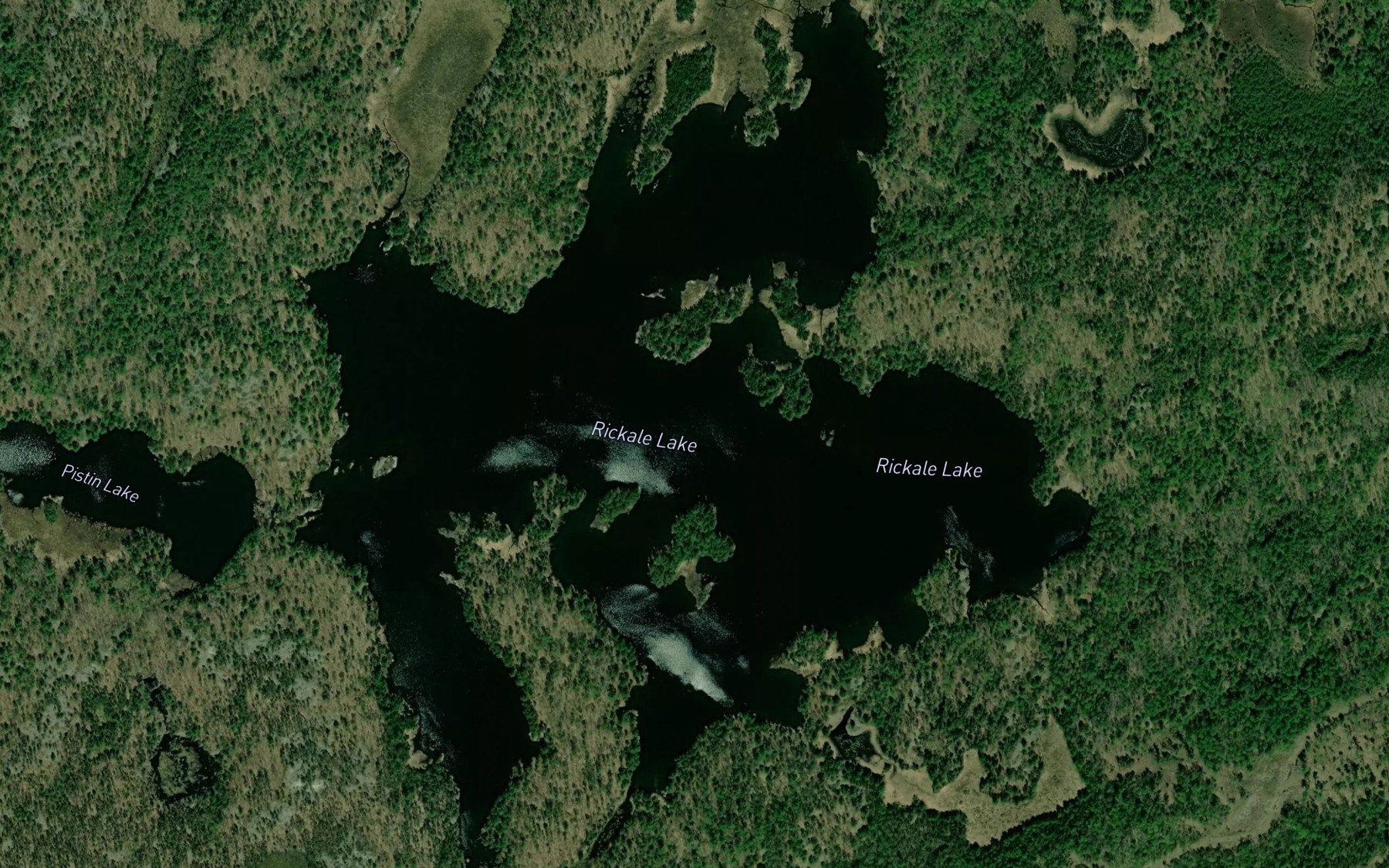 Satellite map of the Rickale Lake