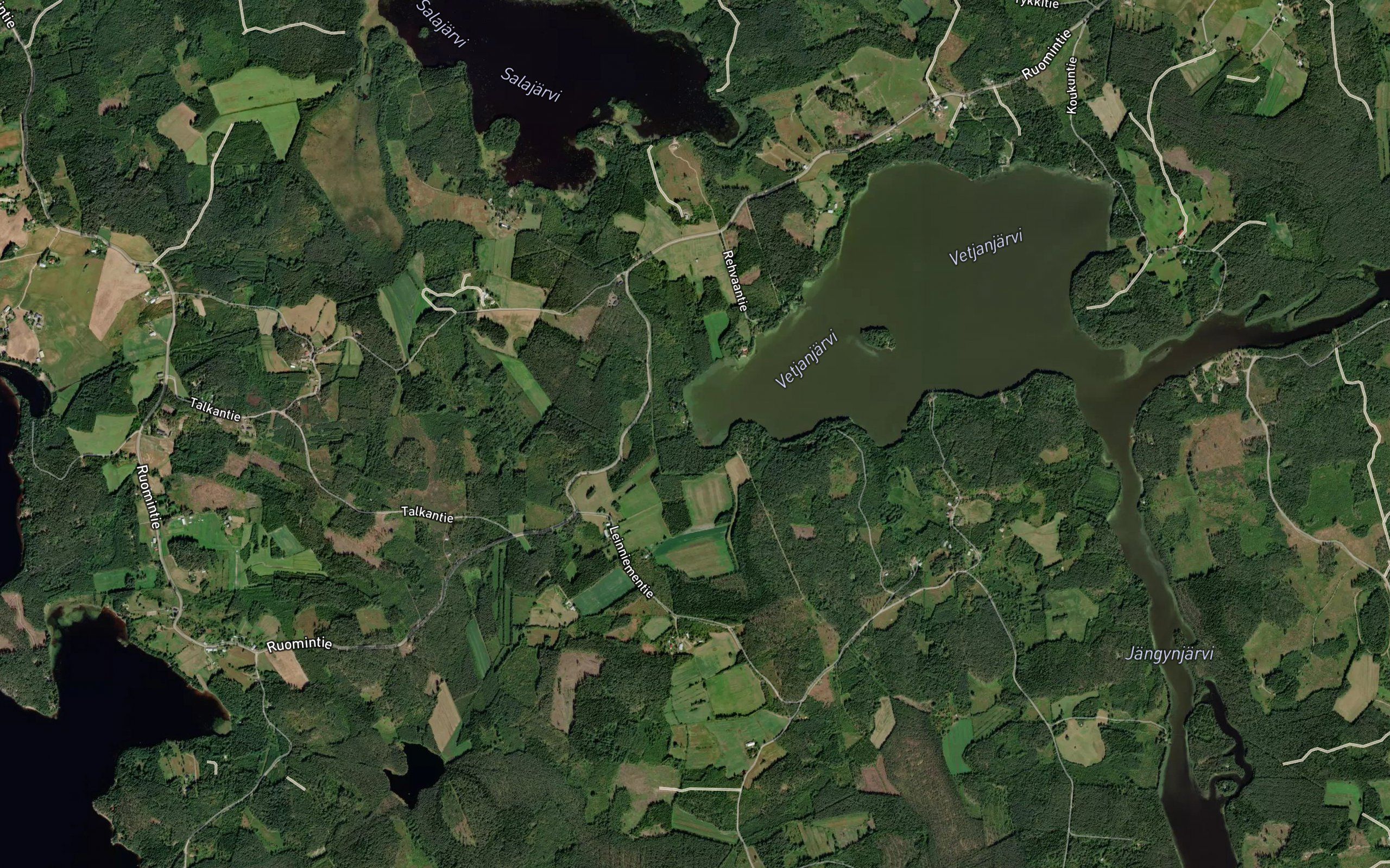 Punkanjoki