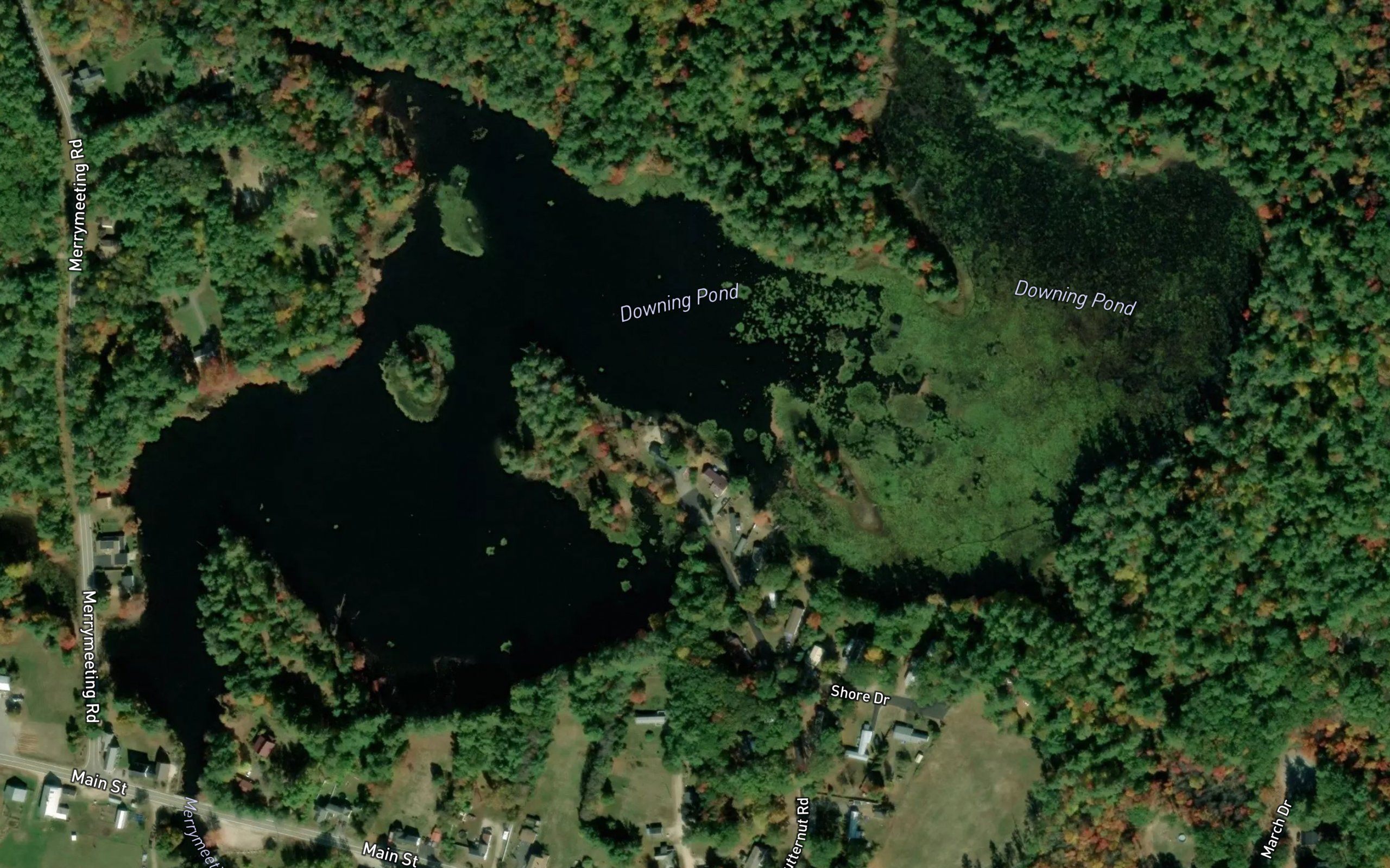 Downing Pond