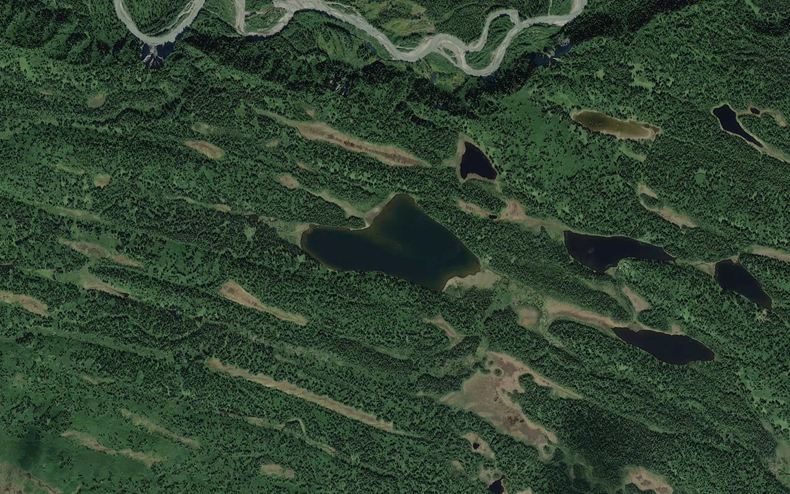 Patrick Lake
