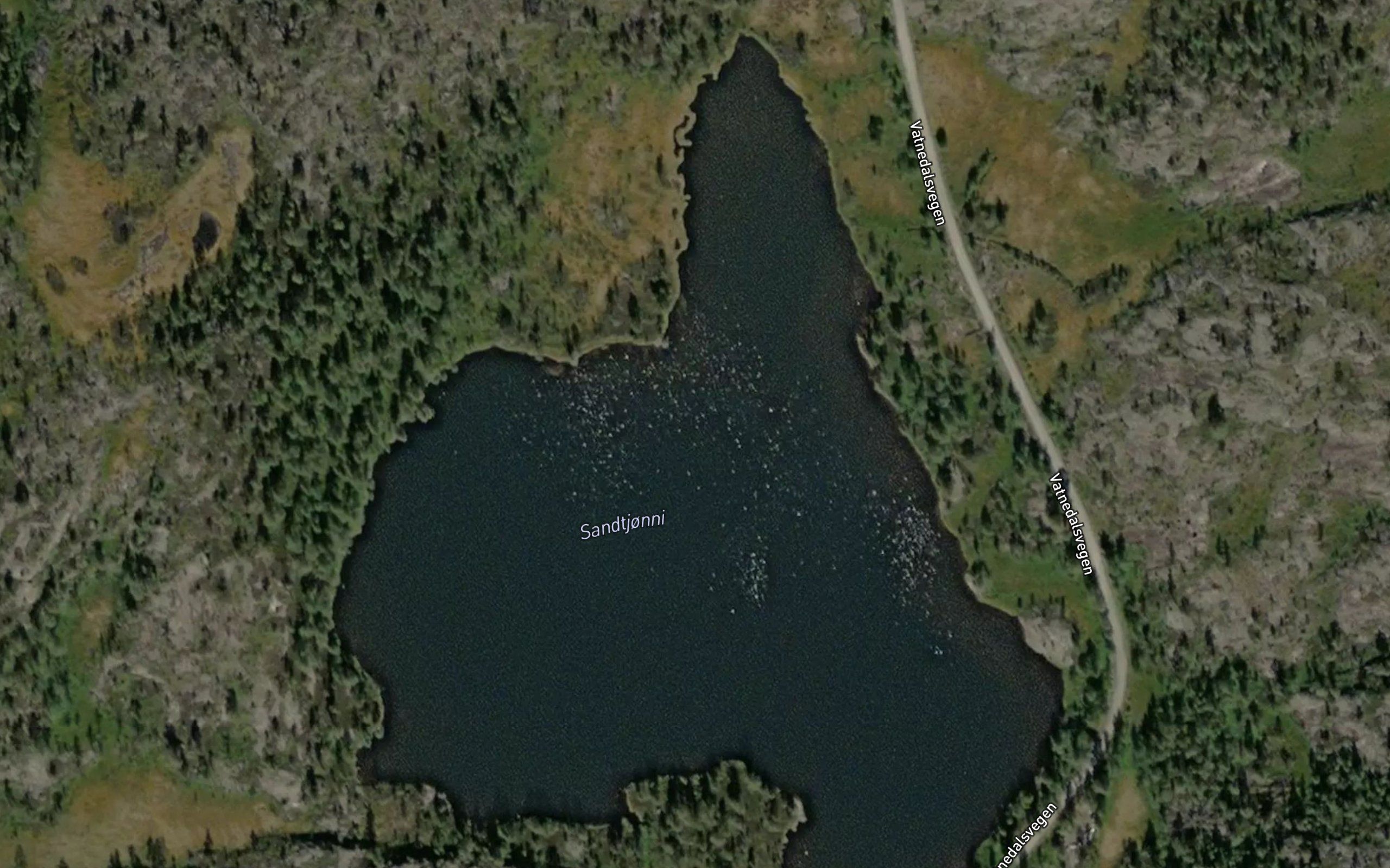 Sandtjorni