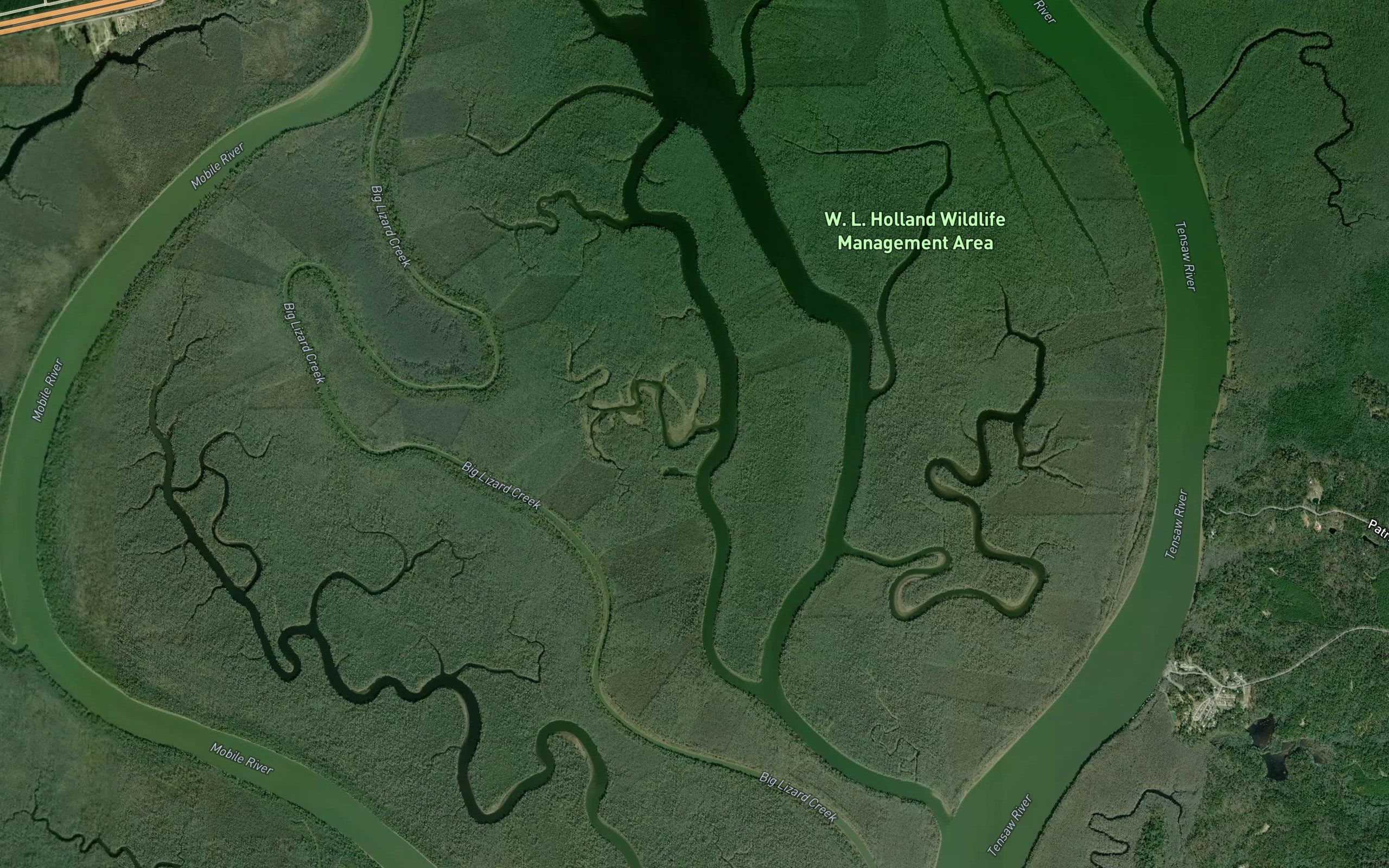 Negro Lake