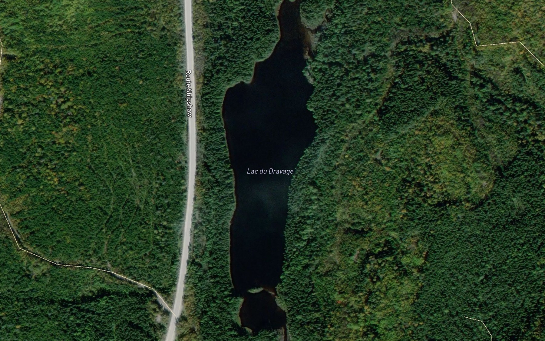 Satellite map of the Lac du Dravage