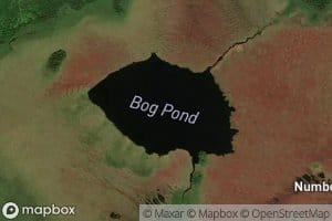 Bog Pond