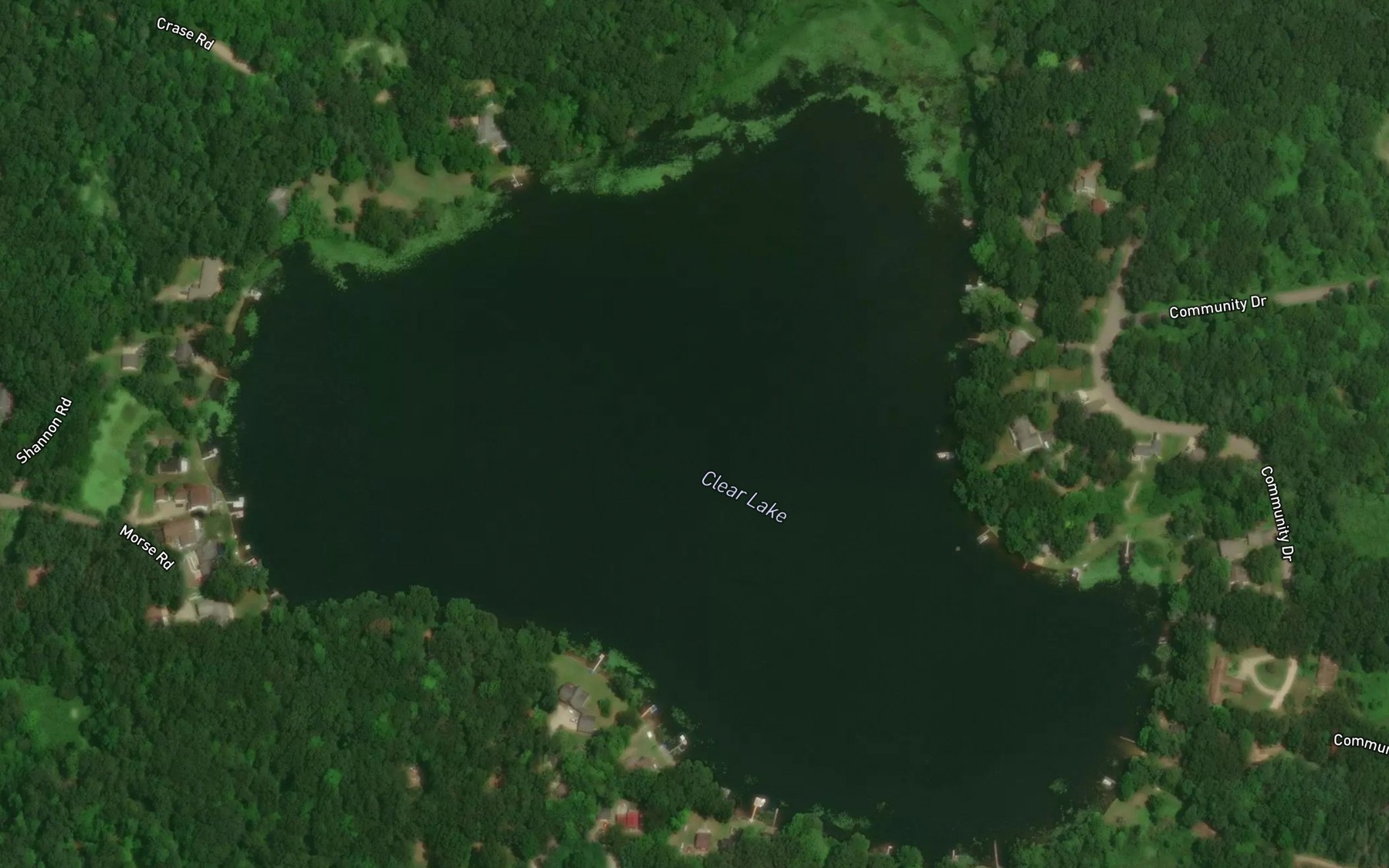 Satellite map of the Clear Lake