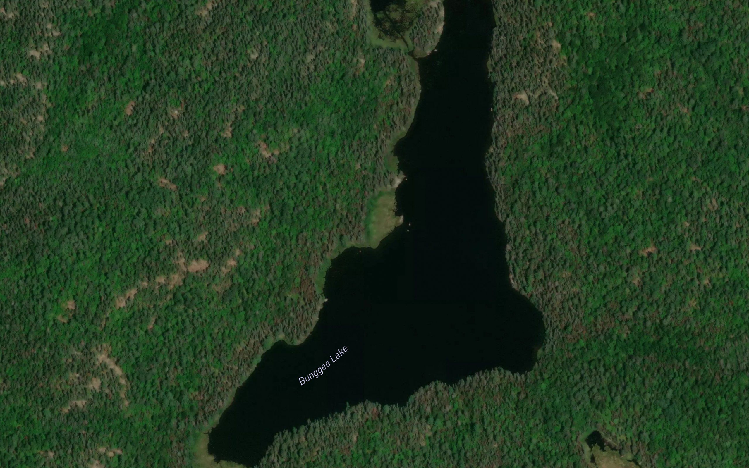 Bunggee Lake