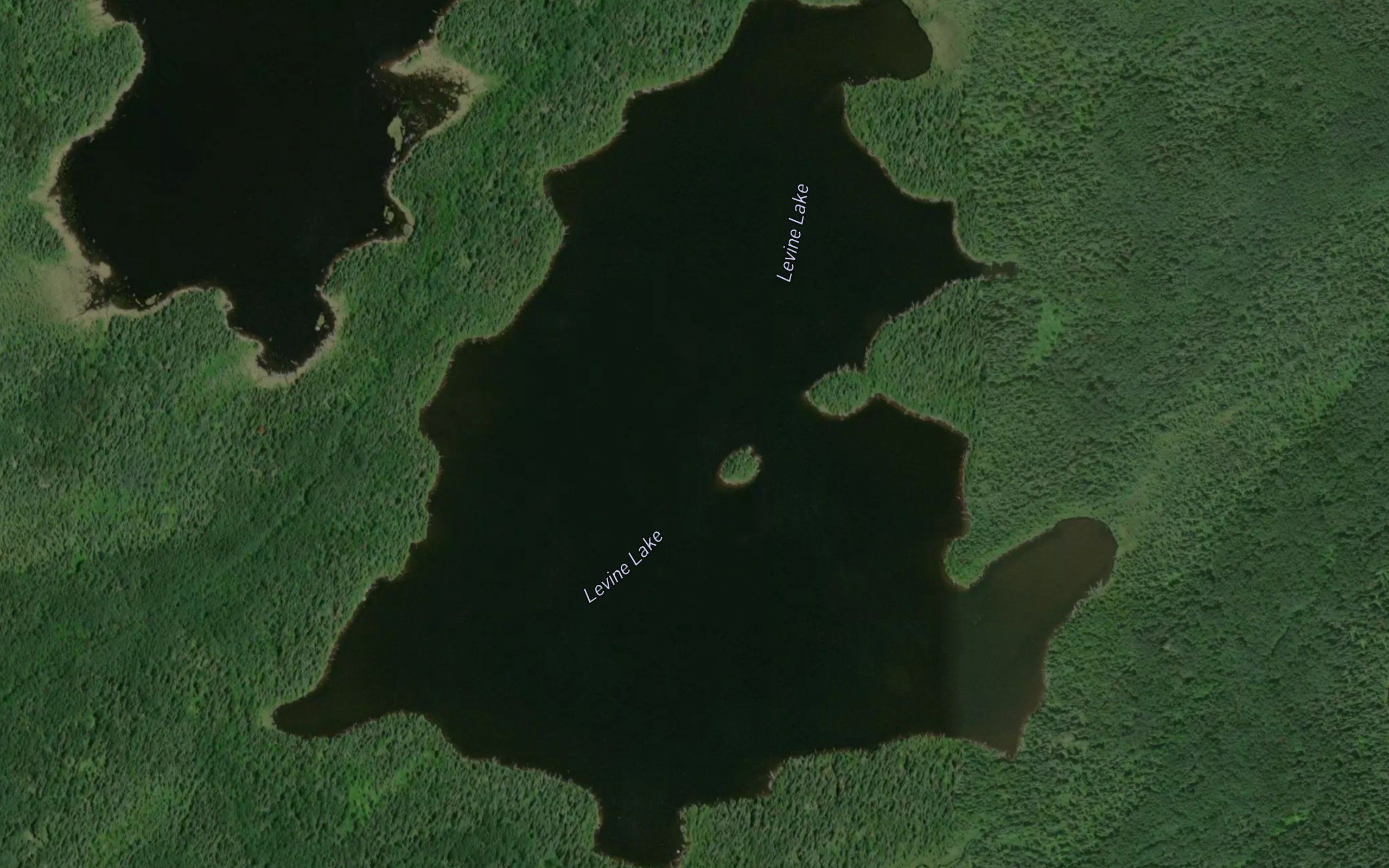 Levine Lake