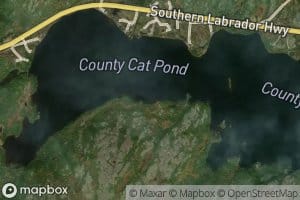 Country Cat Pond