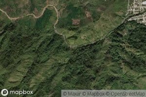 Mano