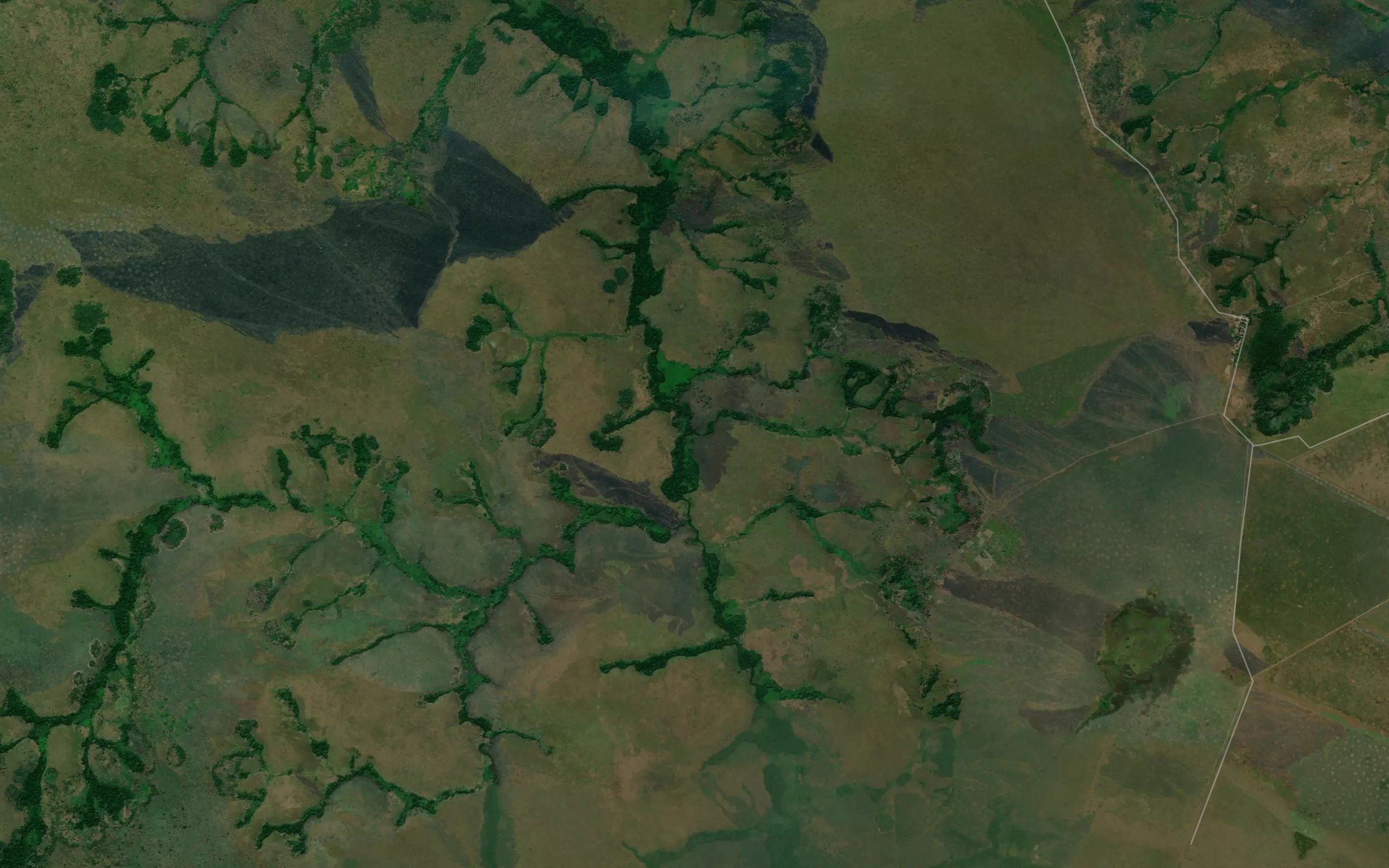 Lugafui