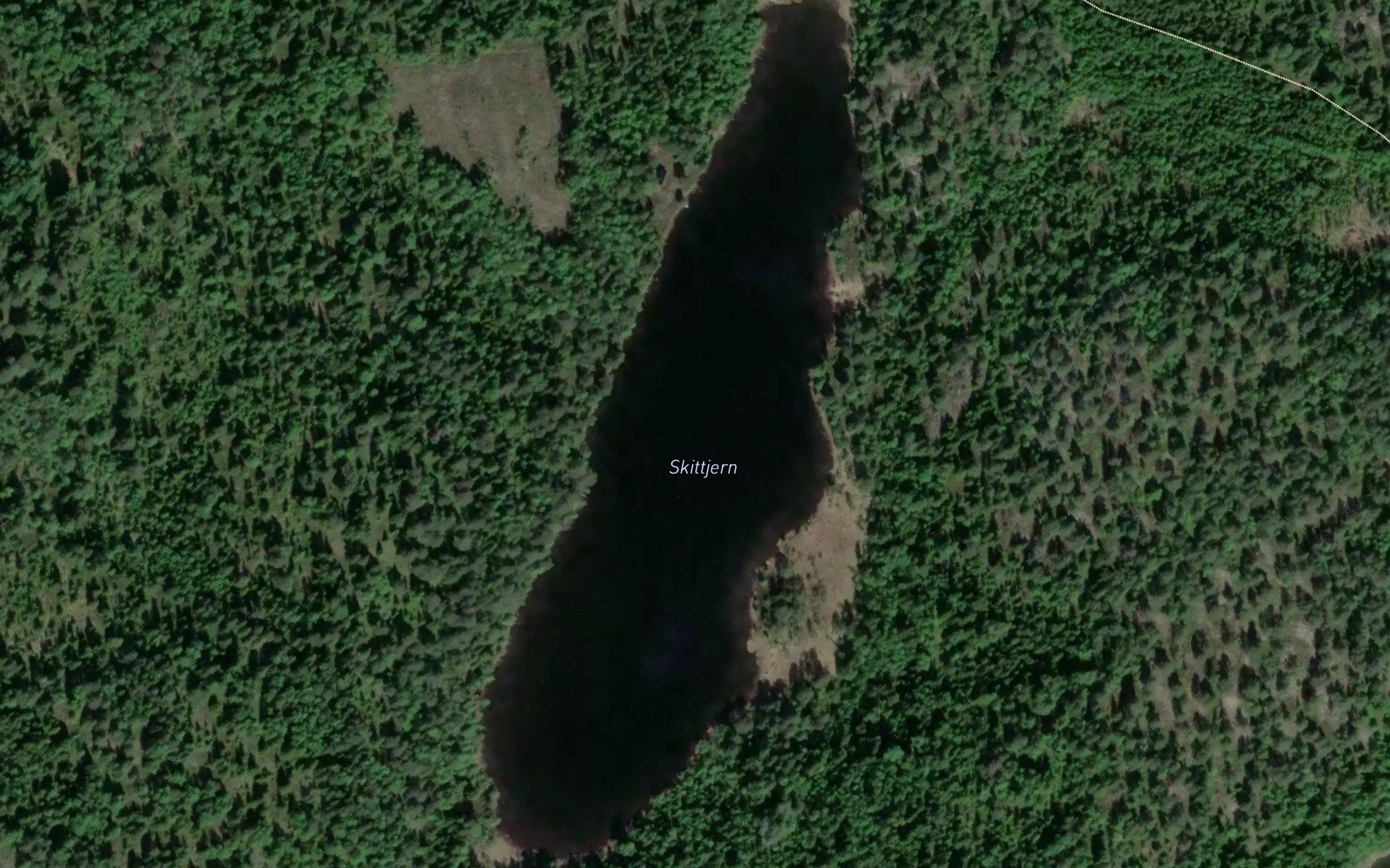 Skittjern