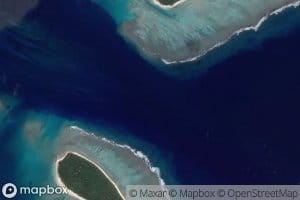 Ava Auhangamea