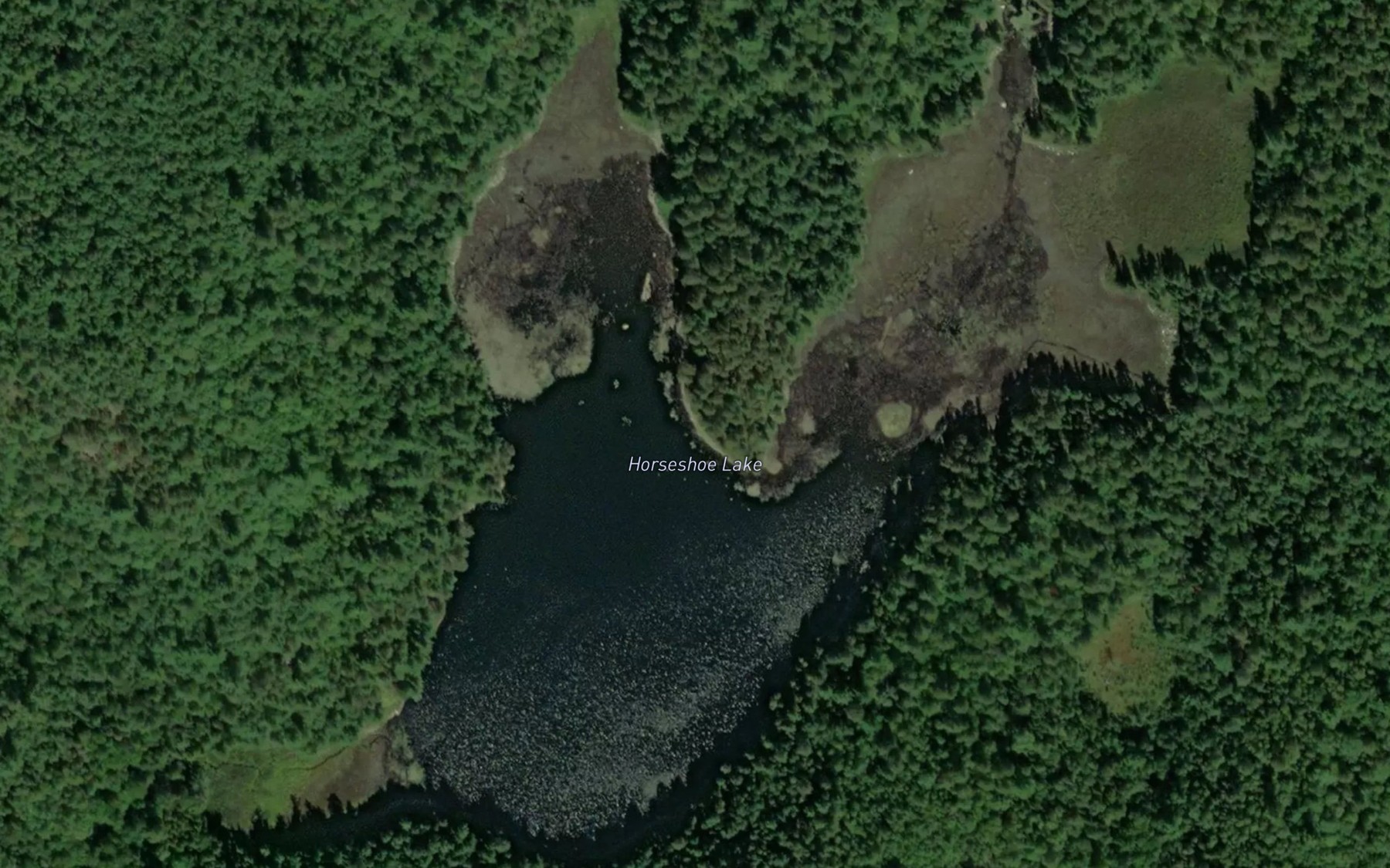 Satellite map of the Horseshoe Lake