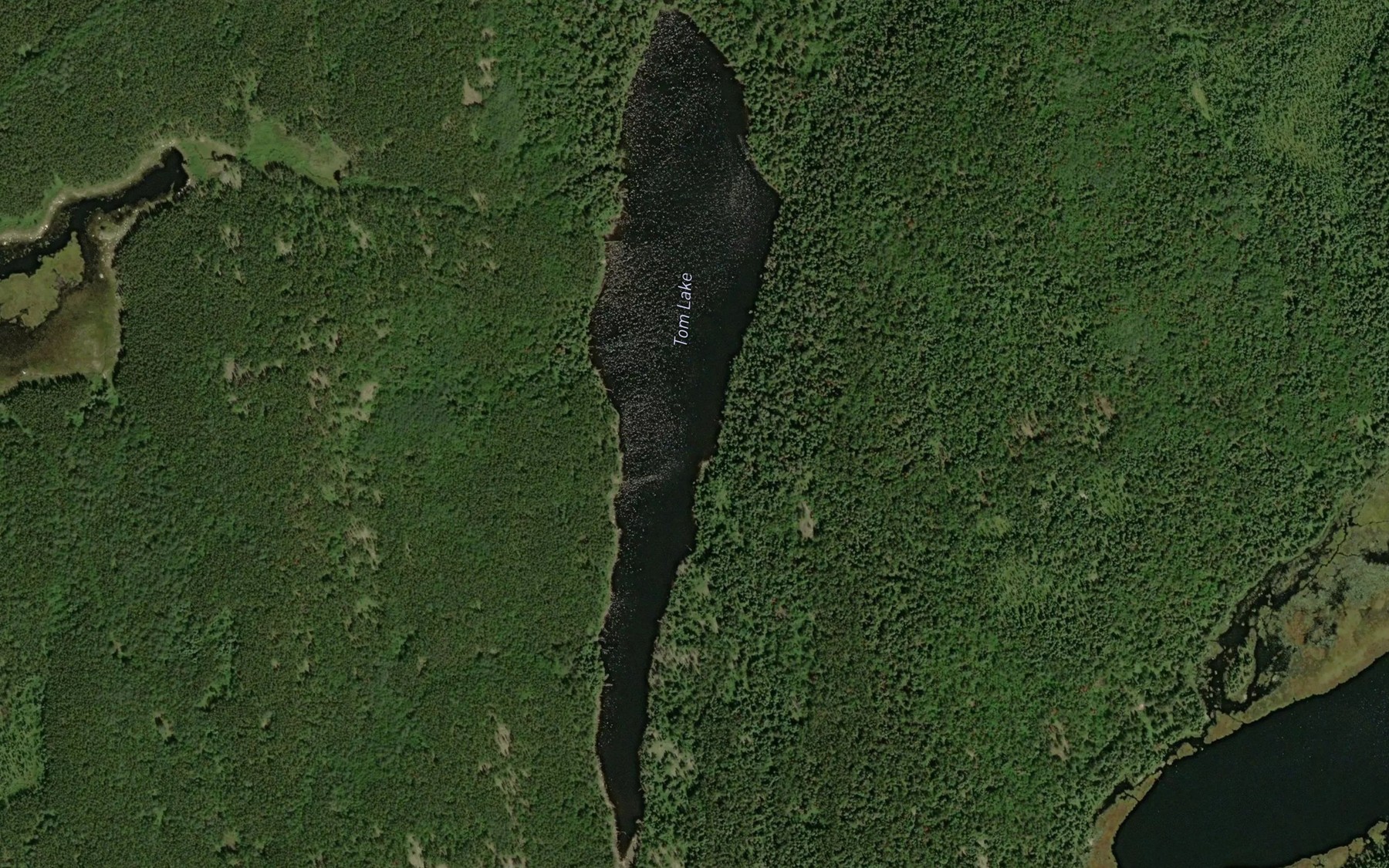 Satellite map of the Tom Lake