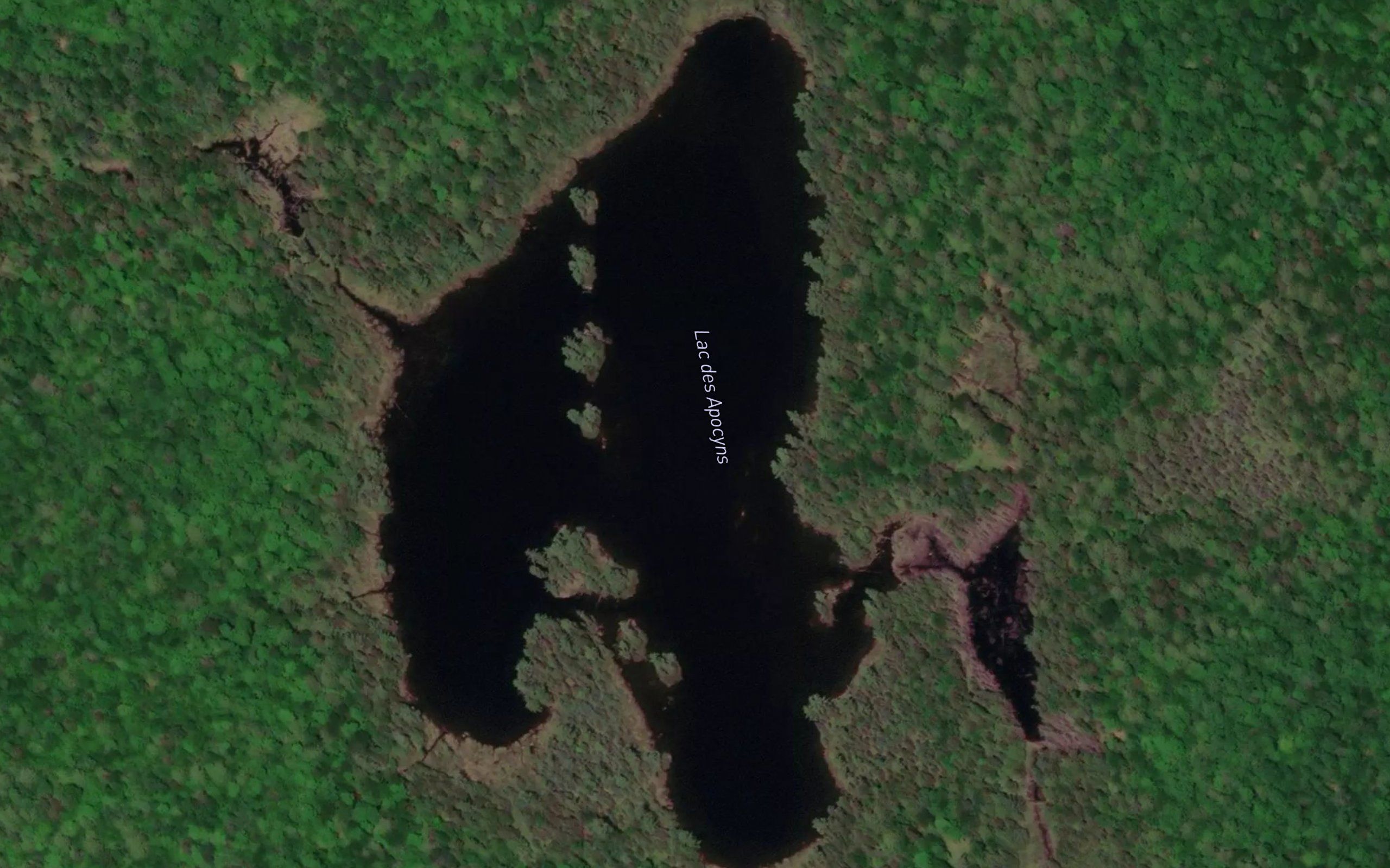 Lac des Apocyns