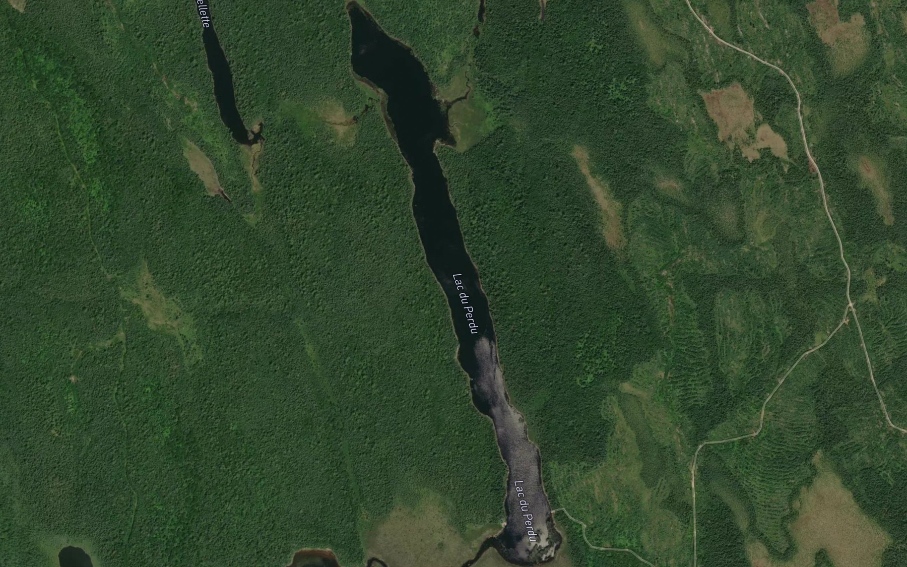 Satellite map of the Lac du Perdu