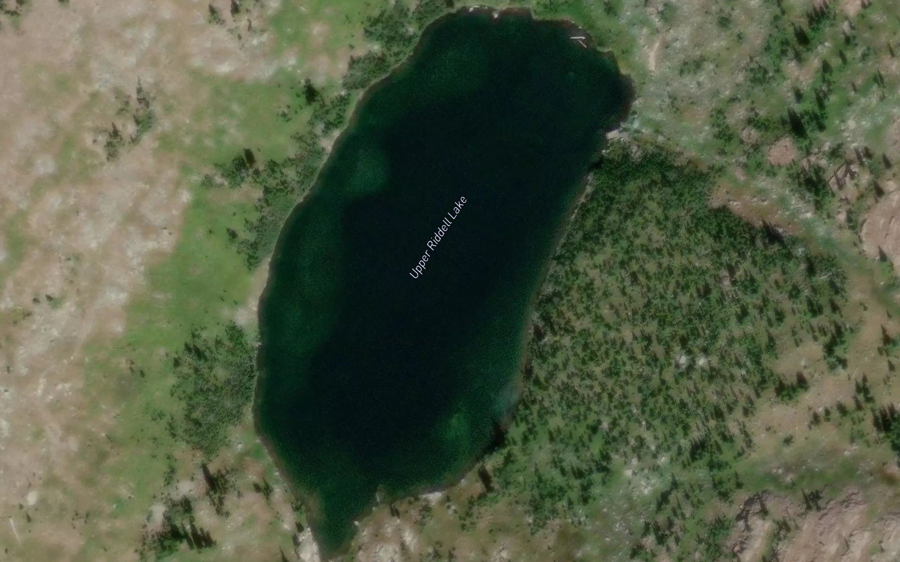 Satellite map of the Upper Riddell Lake